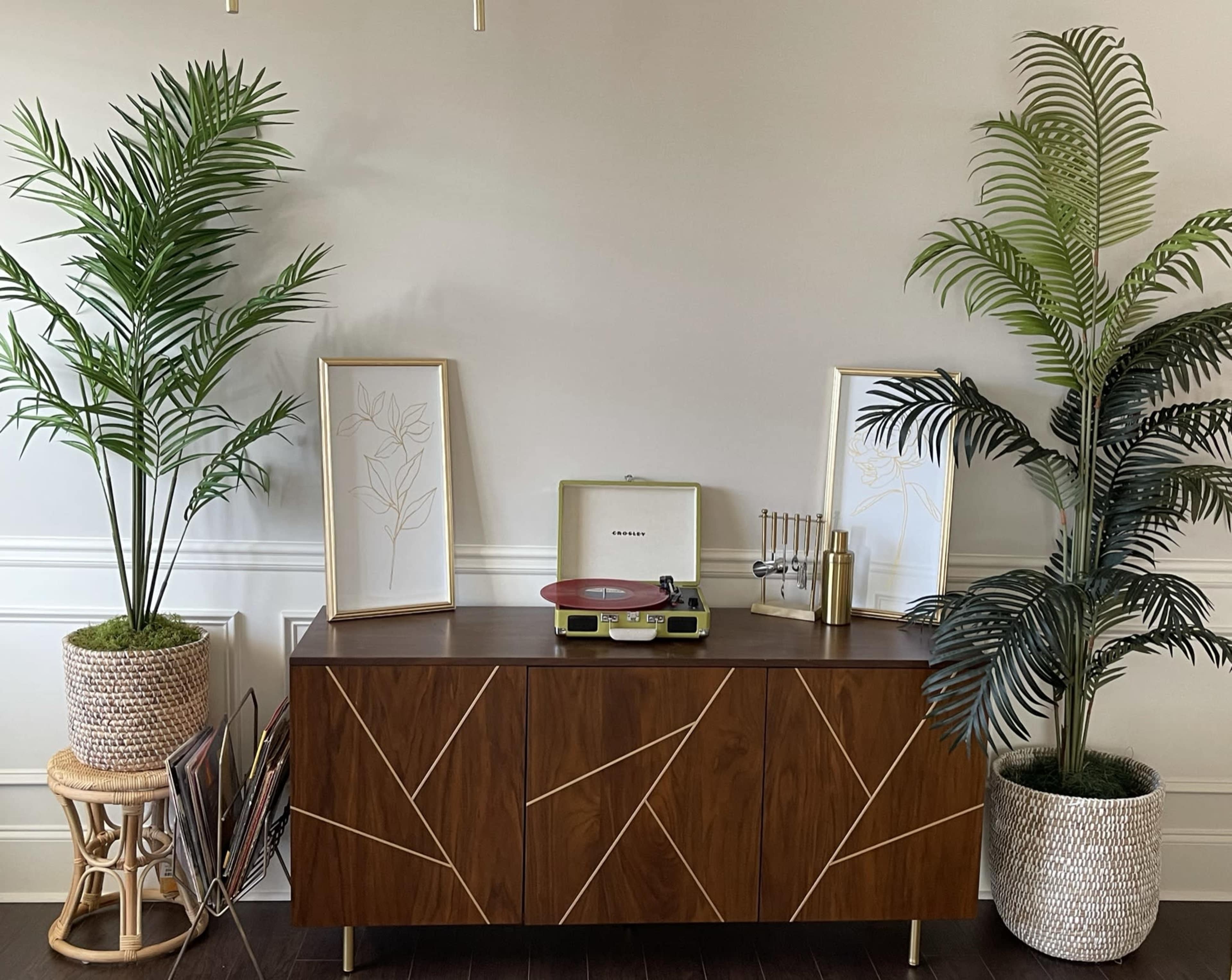 A wooden sideboard with a record player sits between two potted plants, flanked by framed botanical art on the wall.