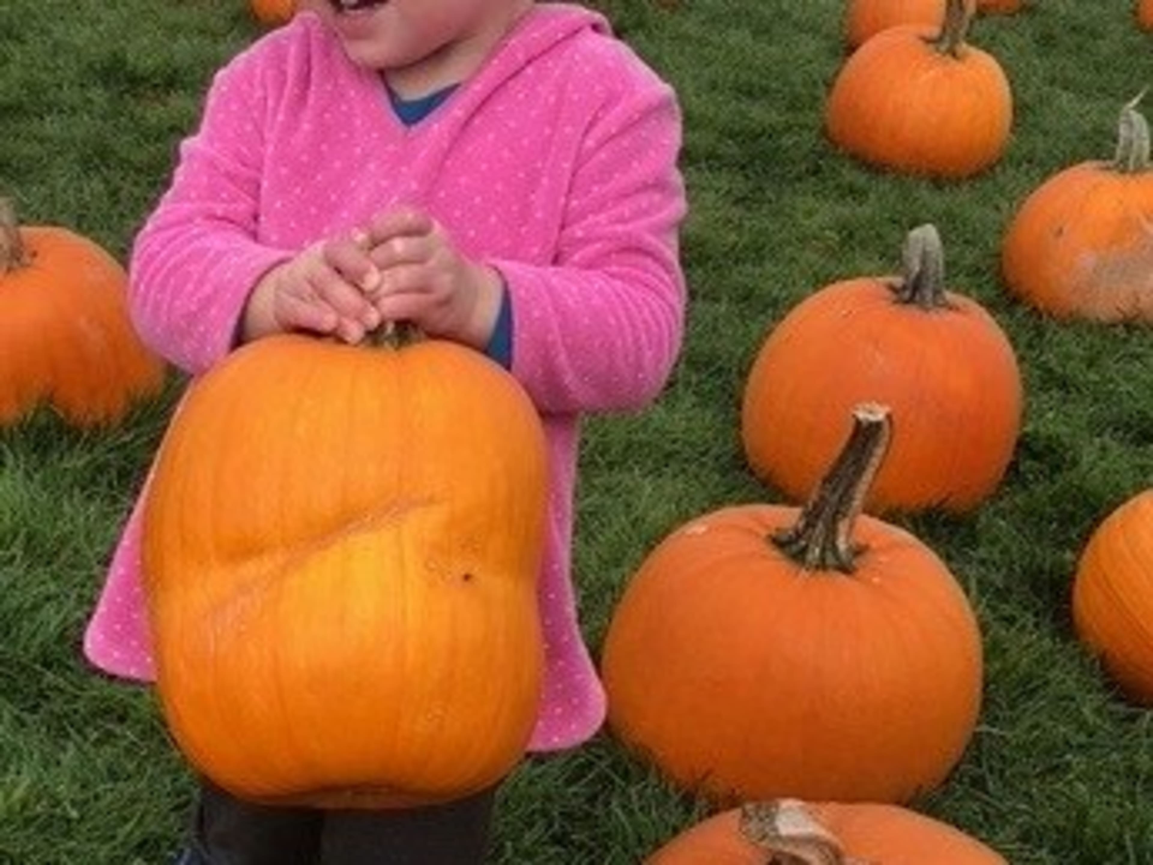 Pumpkin Carving