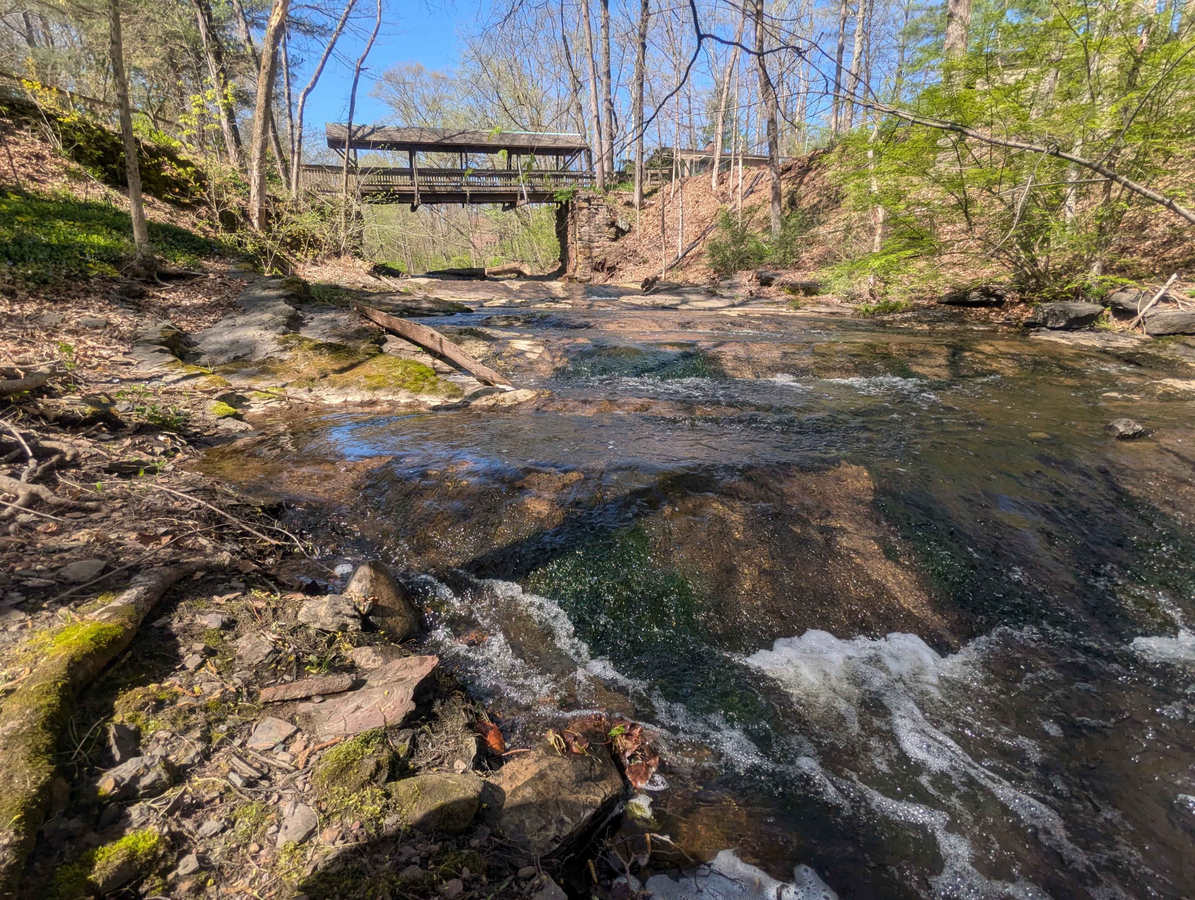 Nature Sanctuary Winding Brook with Historic Mill Bridges Woodland Estate Image in Bloomfield, Bloomfield, CT