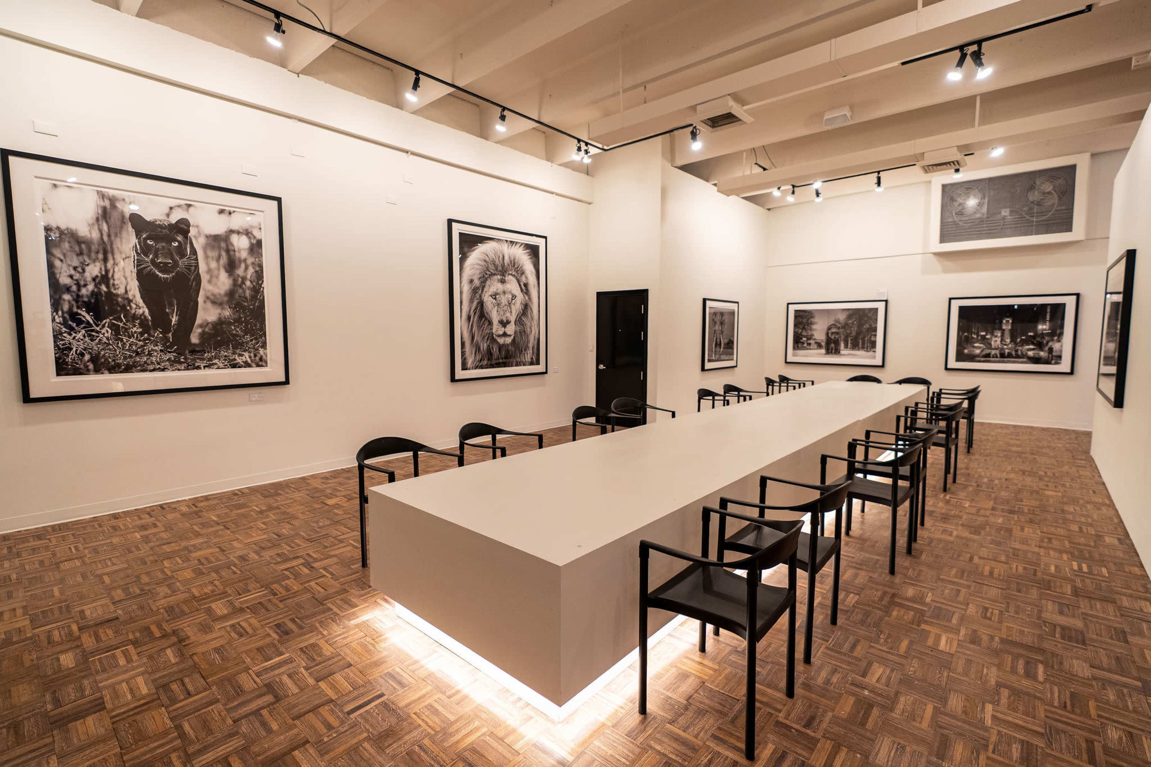 The image shows a modern art gallery featuring large black-and-white photographs of animals on the walls, with a long white table and black chairs arranged in the center.