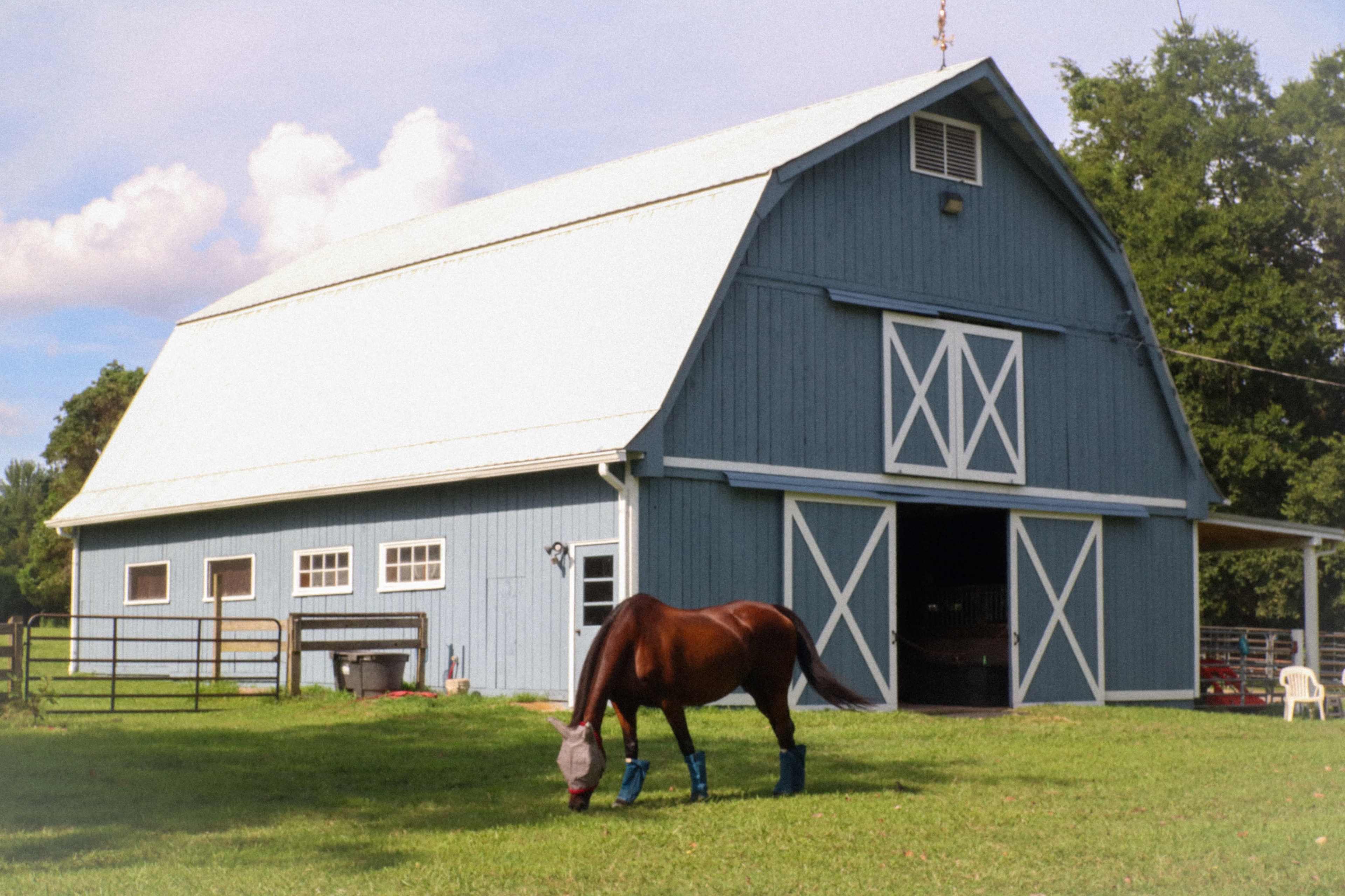 Cozy Country Close to Town Image in Madison, Madison, TN