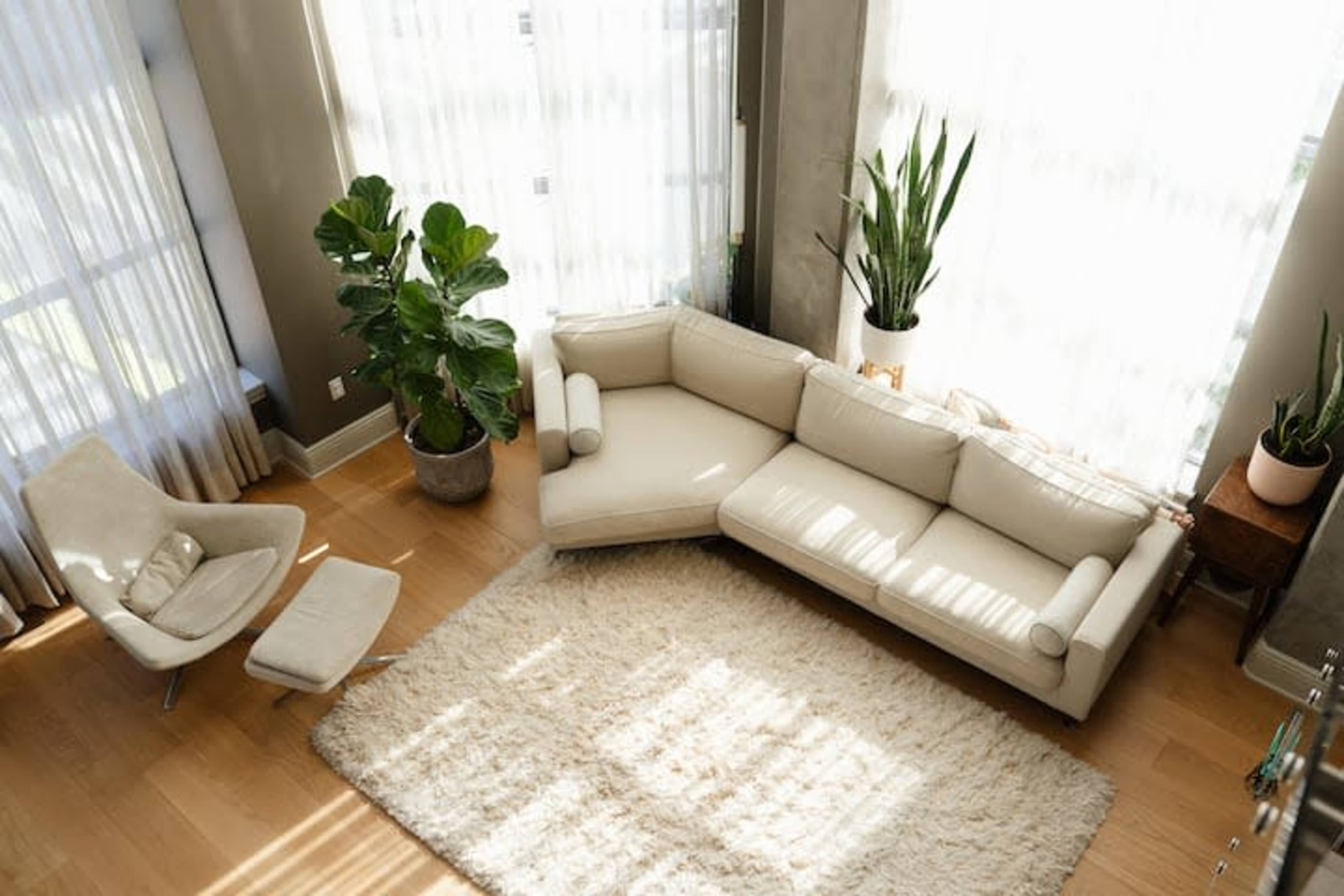 A light-filled living room features a beige sectional sofa, a white area rug, a potted plant, and an armchair beside a window.