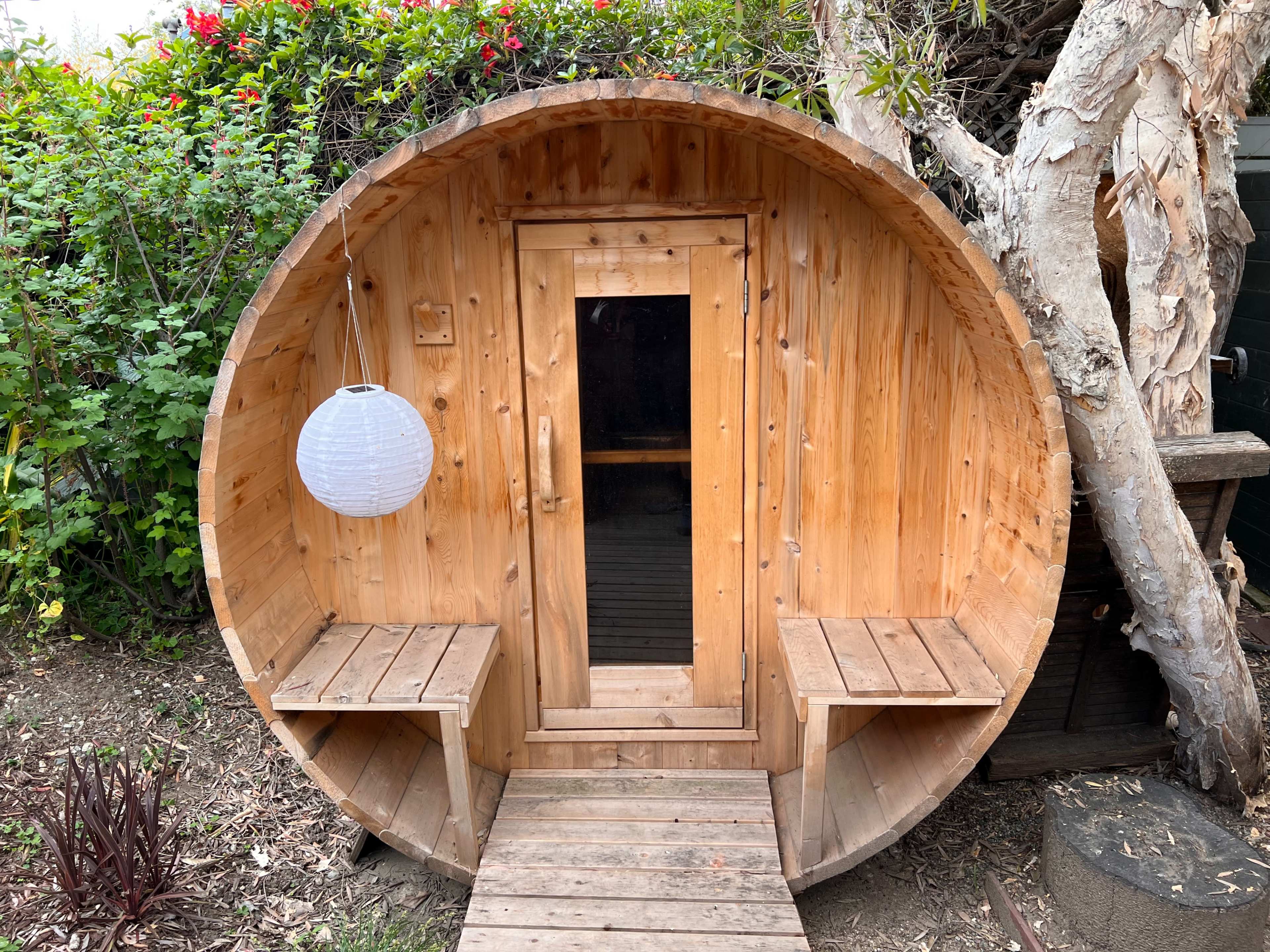 A circular wooden sauna with a wooden door, benches on either side, and a hanging lantern, surrounded by greenery.