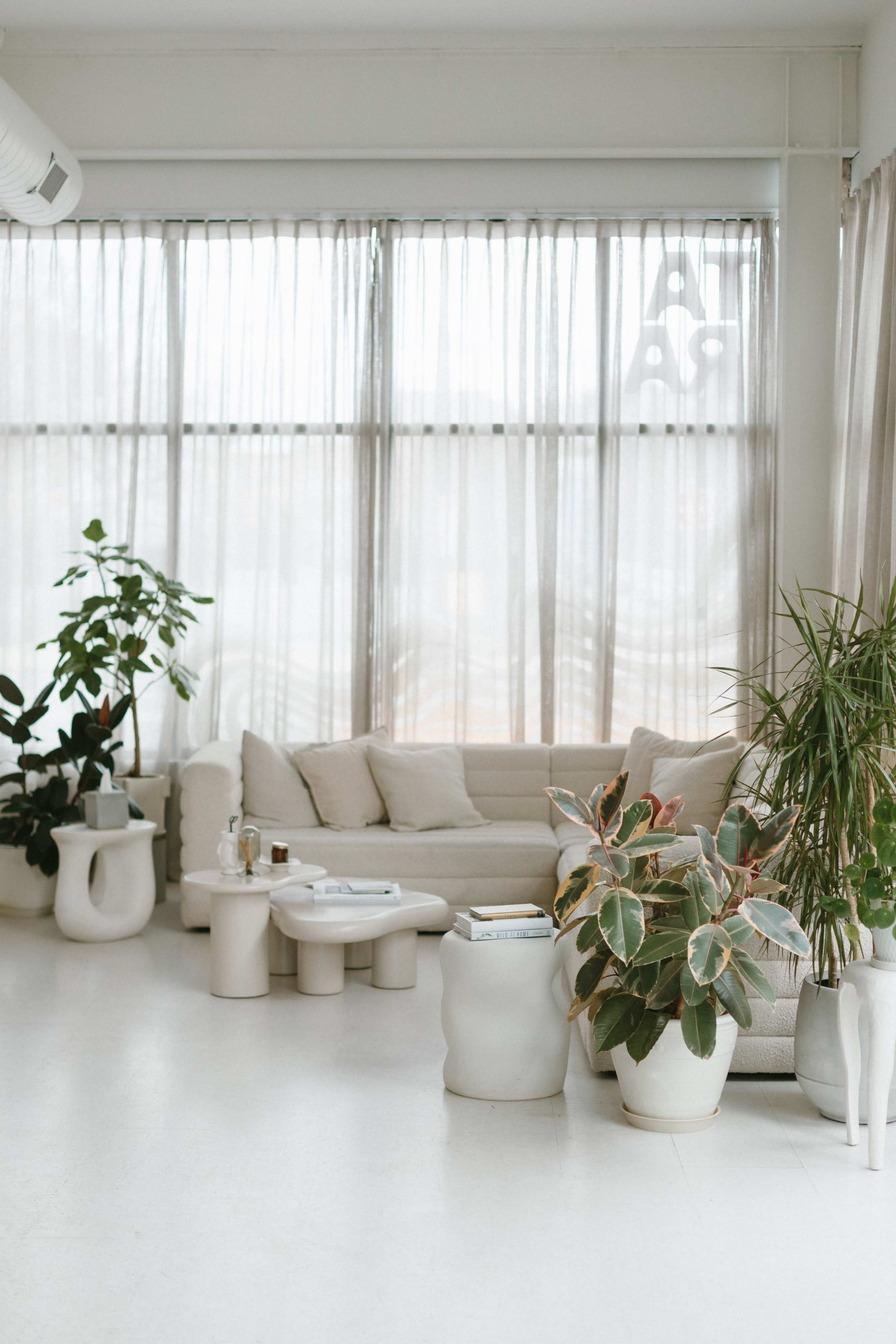A modern living room features a light-colored sofa, elegant coffee table, and various indoor plants, all set against large windows with sheer curtains.