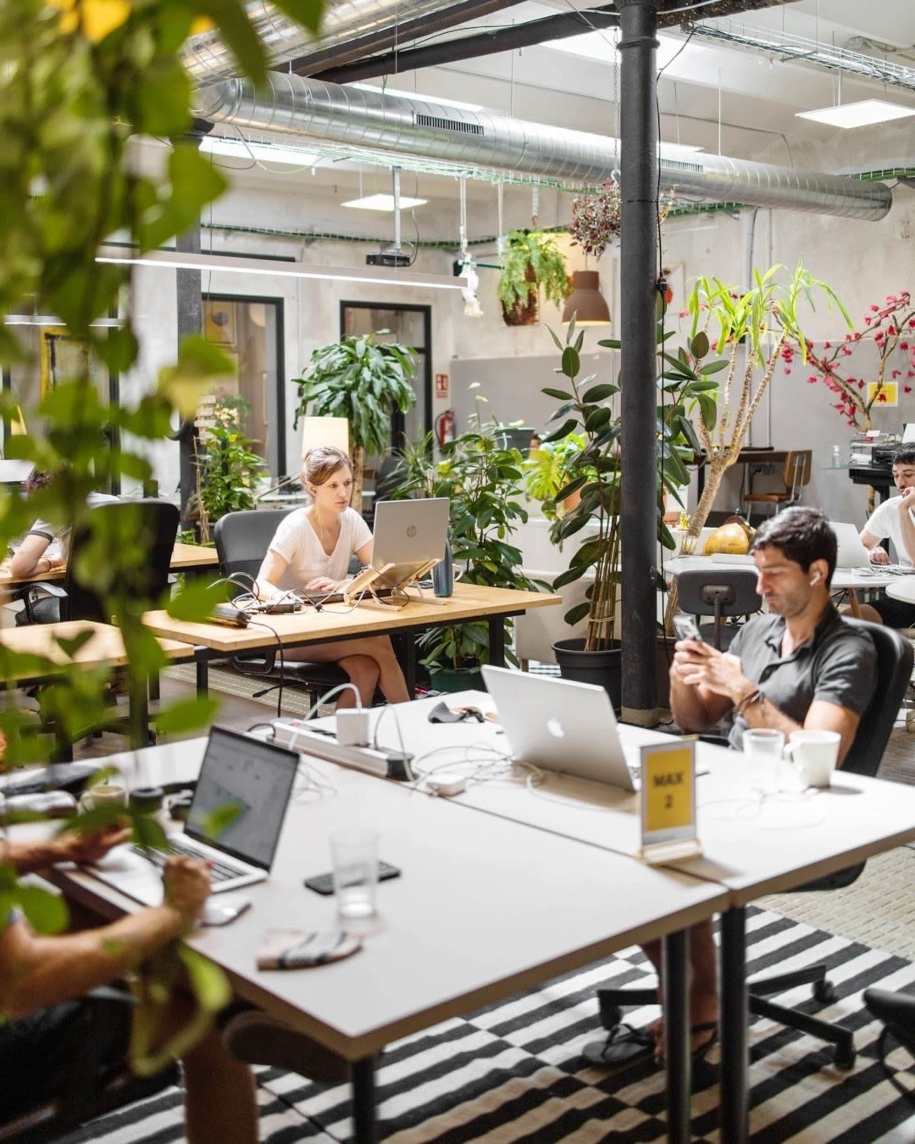 Un Espacio de Coworking Creativo en Montjuic Imagen en El Poble-sec, Barcelona, B
