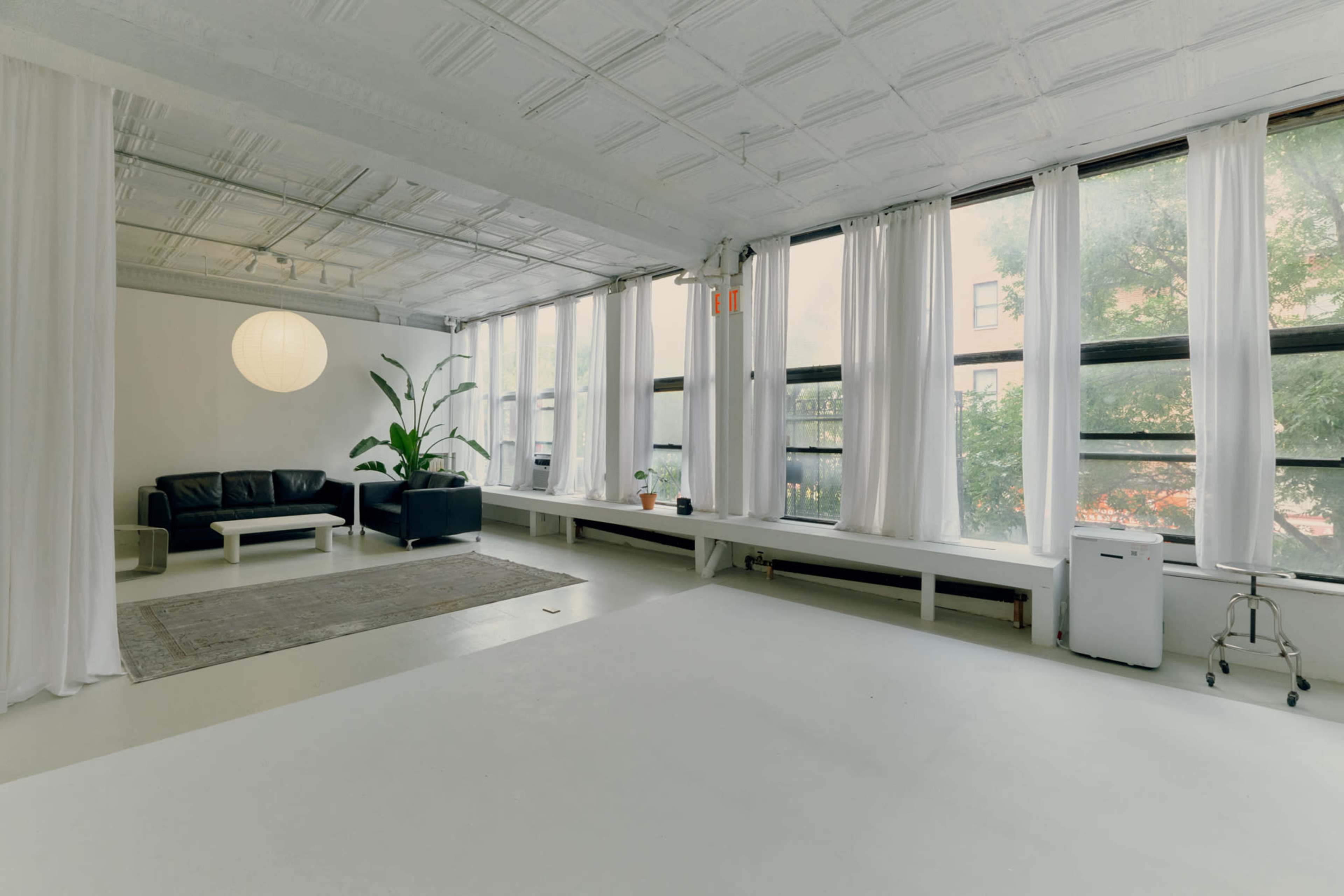 The image shows a bright, open living space with a black sofa, large windows, and a potted plant beside a minimalist decor setup.