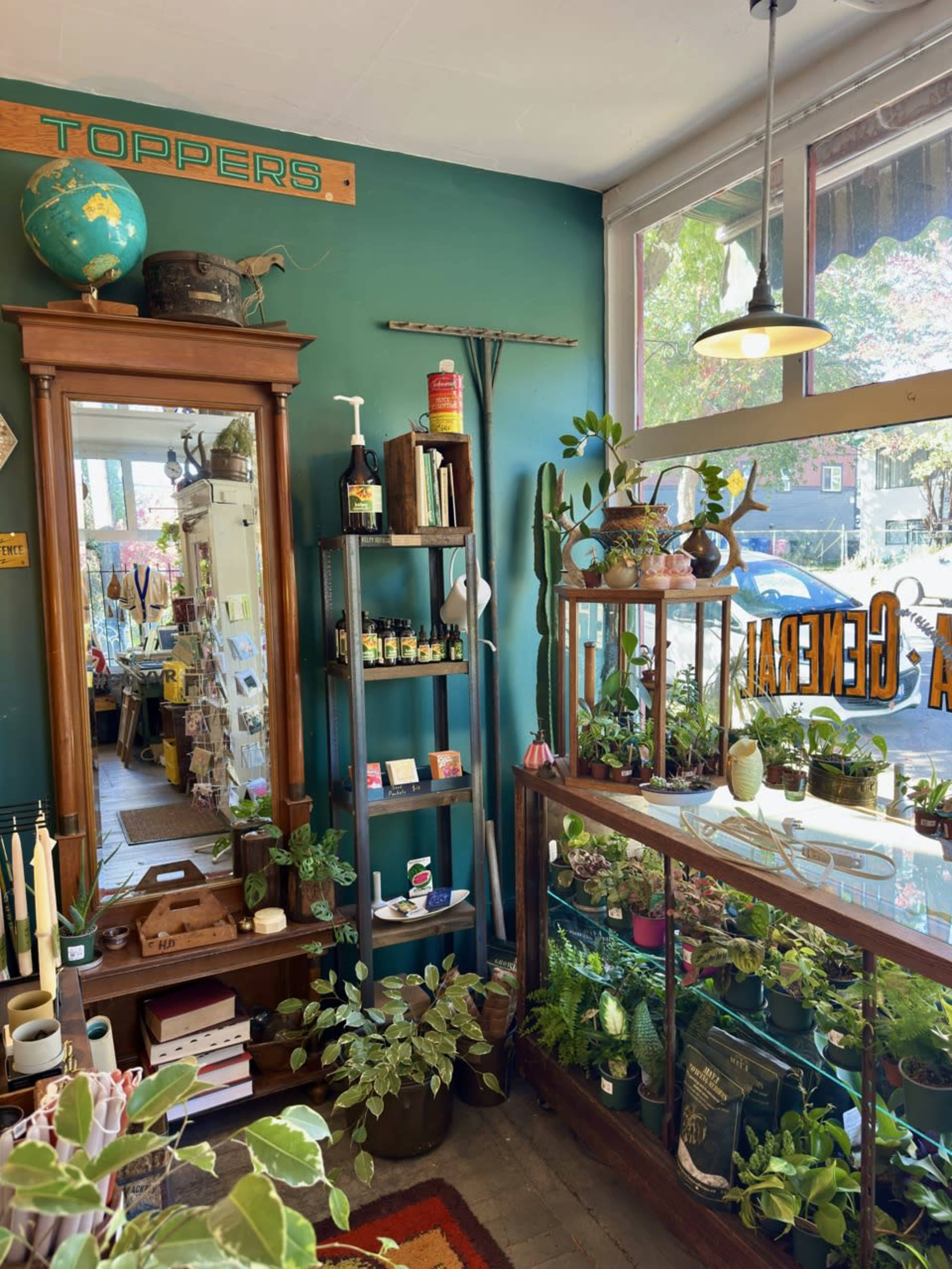 Vintage plant paradise in heritage shop that feels like home Image in Grandview-Woodland, Vancouver, BC
