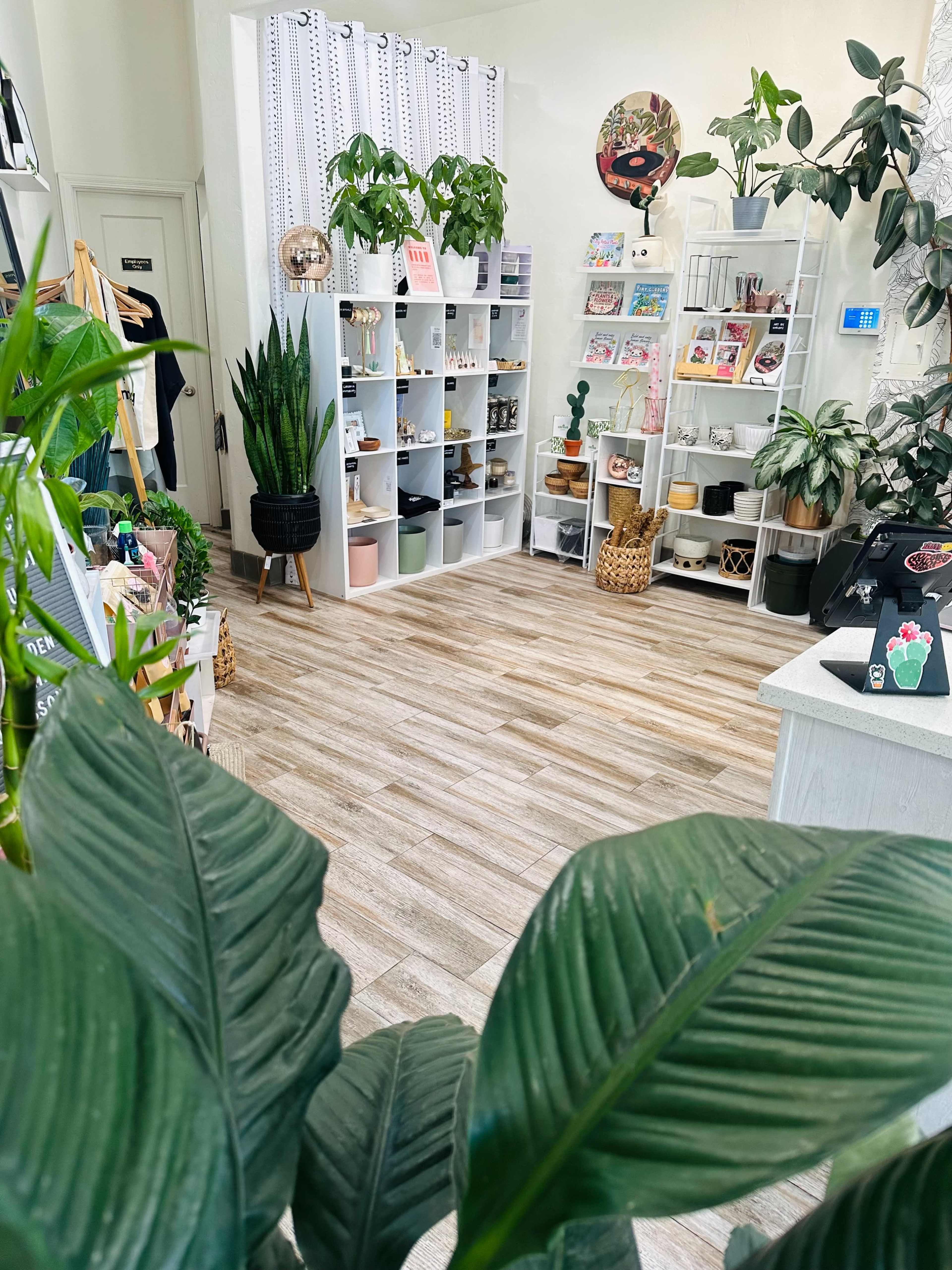 Vibrant Plant Lounge Perfect for Intimate Events & Workshops Image in Downtown, Campbell, CA