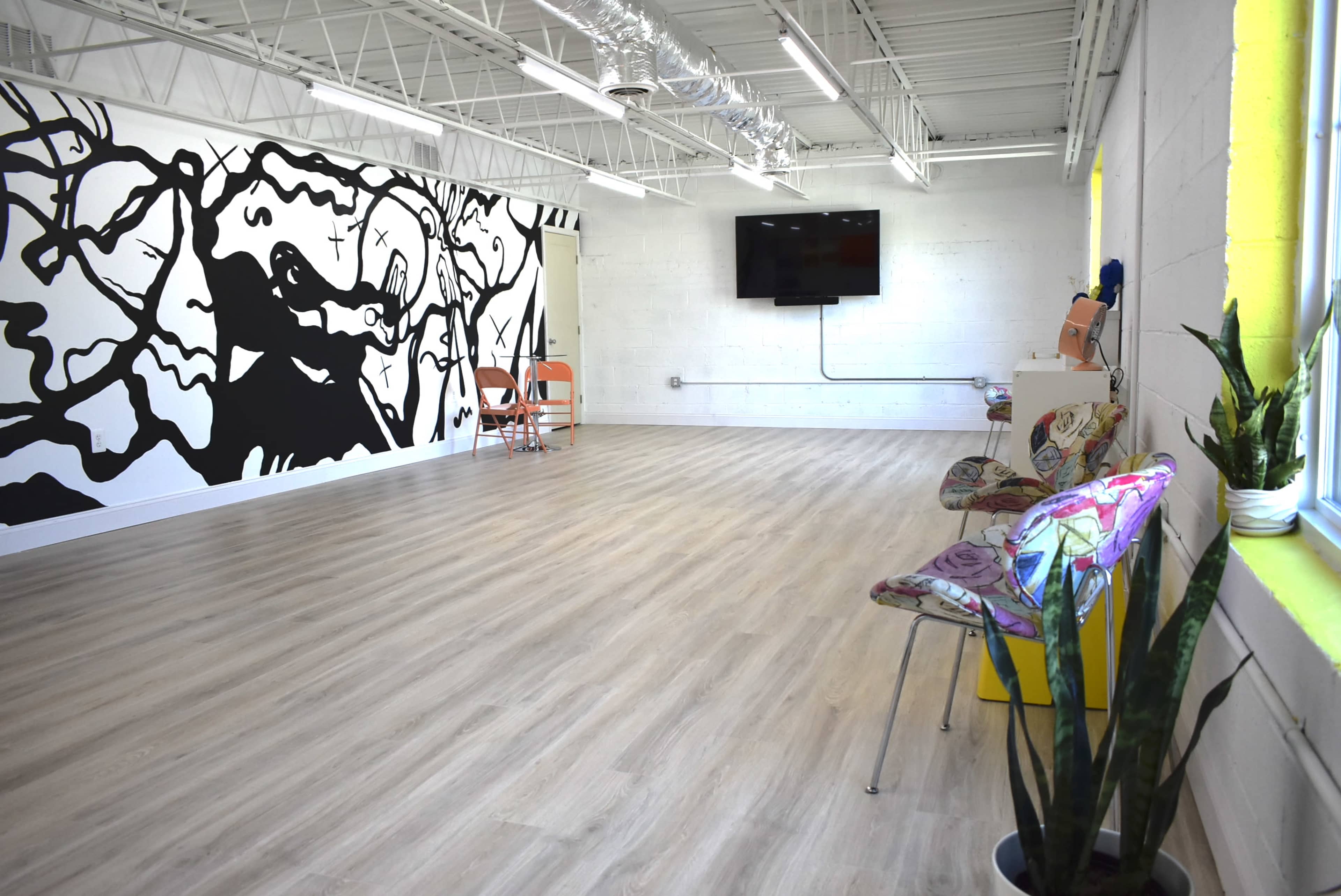 The image shows a spacious room with a large black and white mural on one wall and a television mounted on another, furnished with colorful chairs and a potted plant near a window.