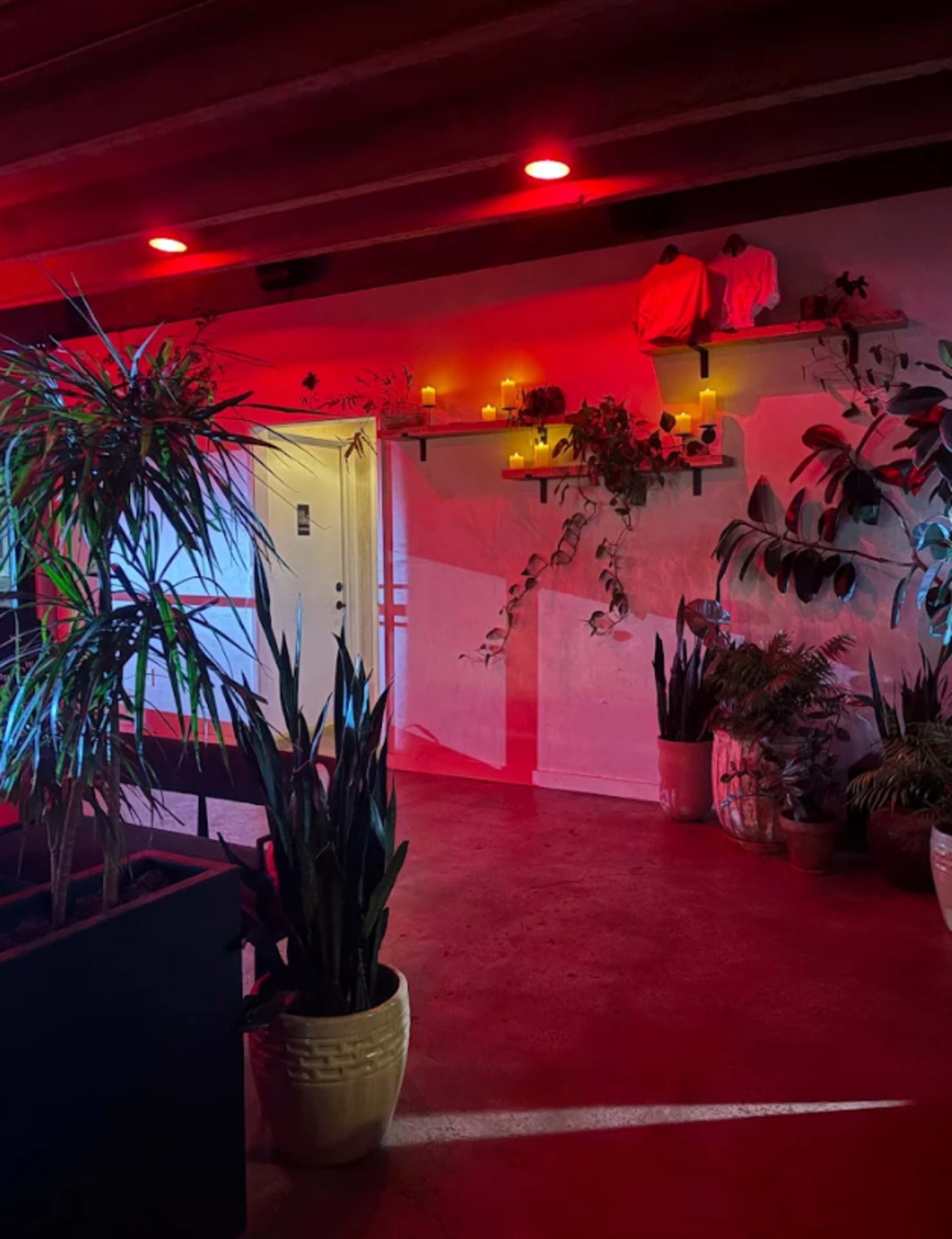 The scene features a dimly lit hallway adorned with various plants in pots, illuminated by red overhead lights and candles on shelves.