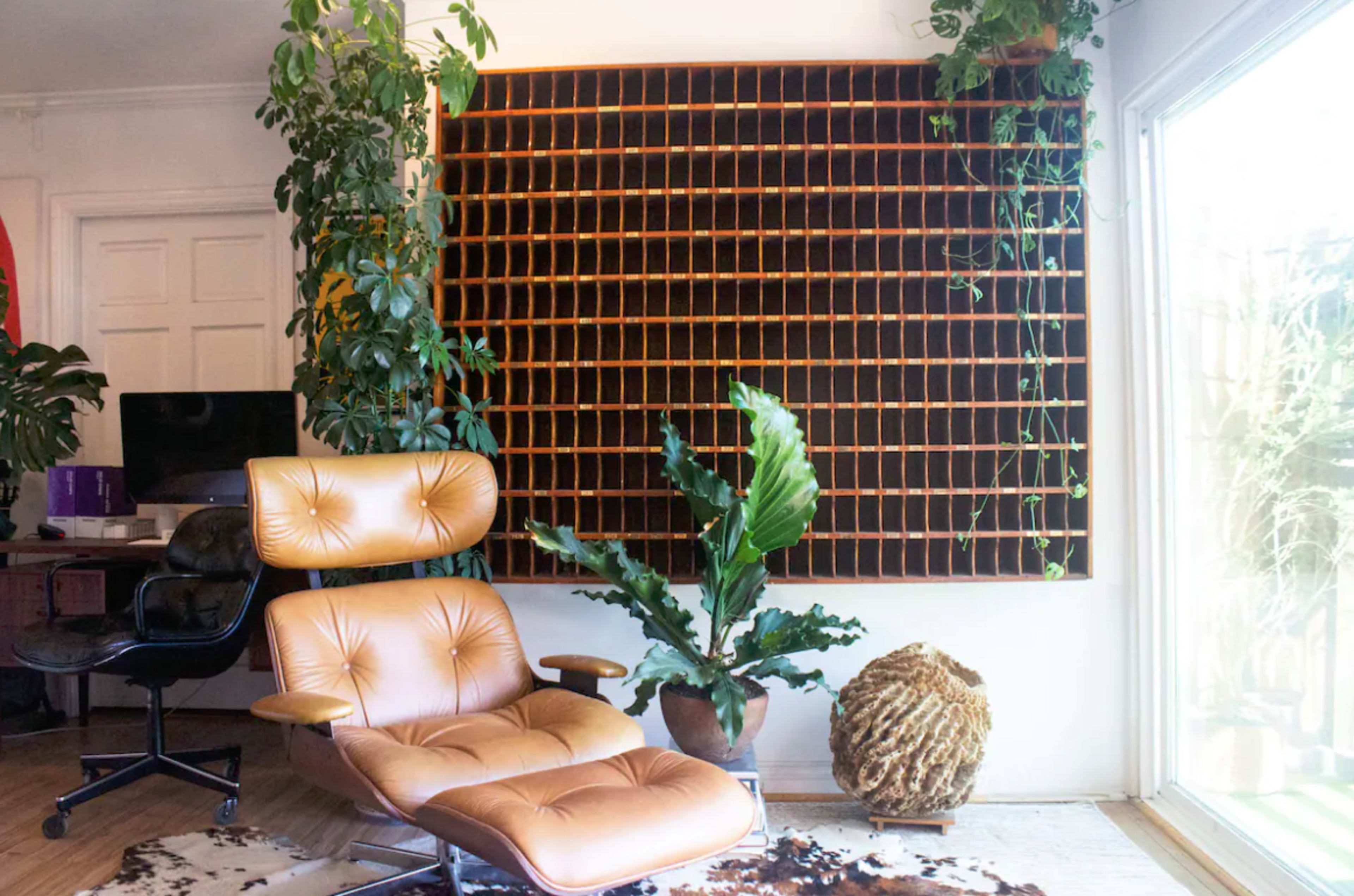 A cozy interior featuring a brown leather lounge chair, a wall-mounted shelving unit, and various indoor plants, with a window allowing natural light to enter.