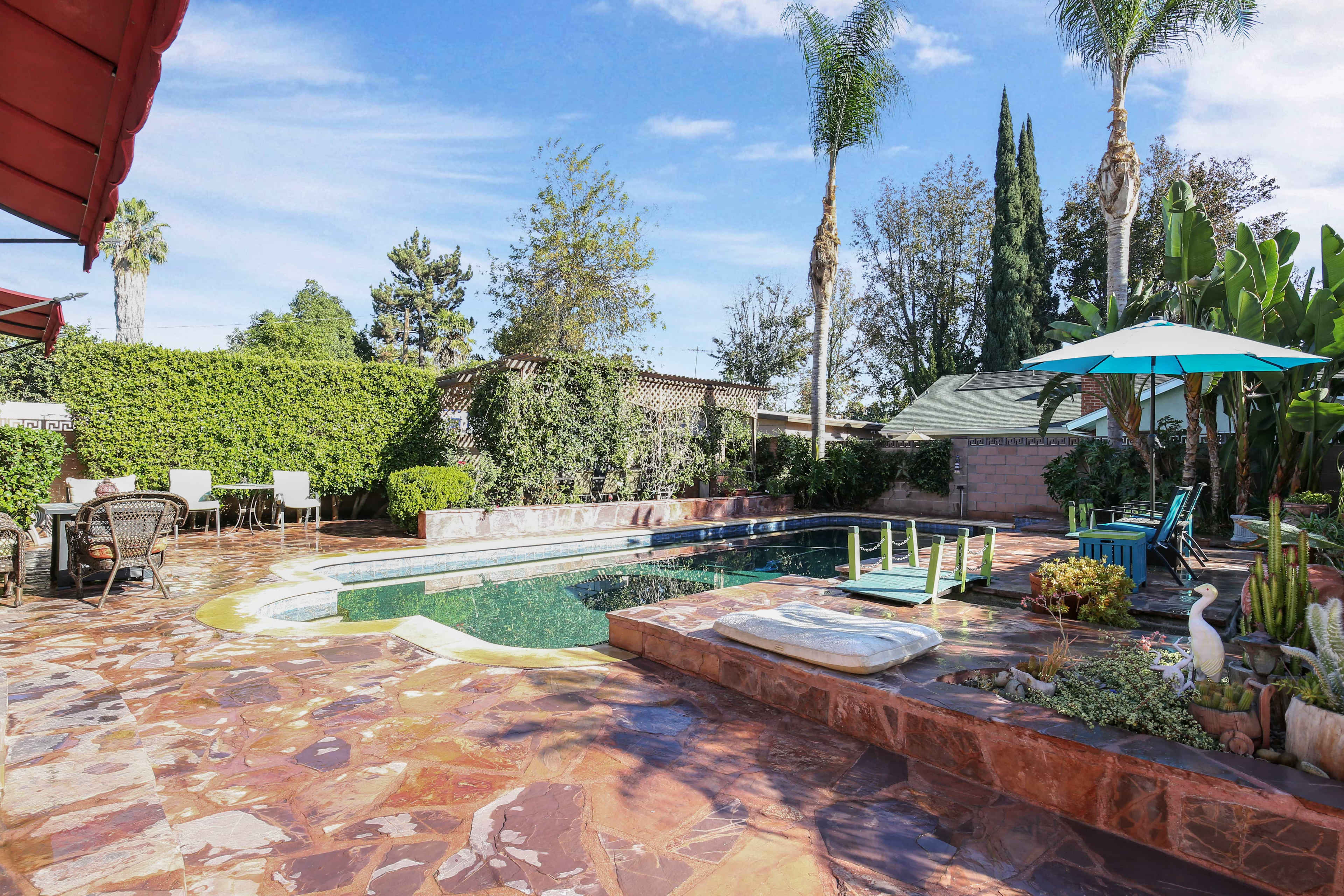 The image shows a backyard pool area surrounded by a landscaped patio, with lounge chairs, greenery, and various trees under a clear blue sky.