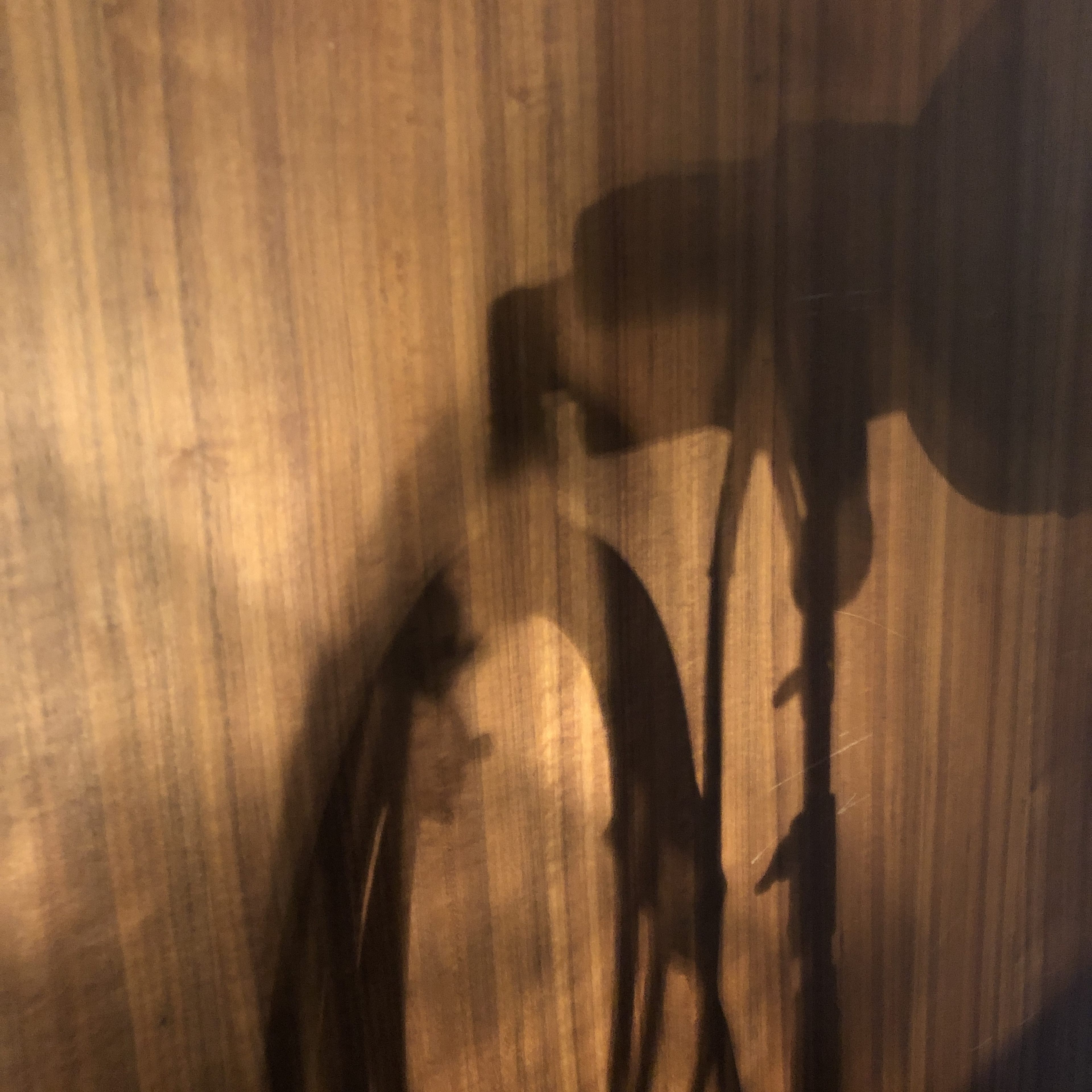 The image shows the shadow of a bicycle and a microphone projected onto a wooden surface.