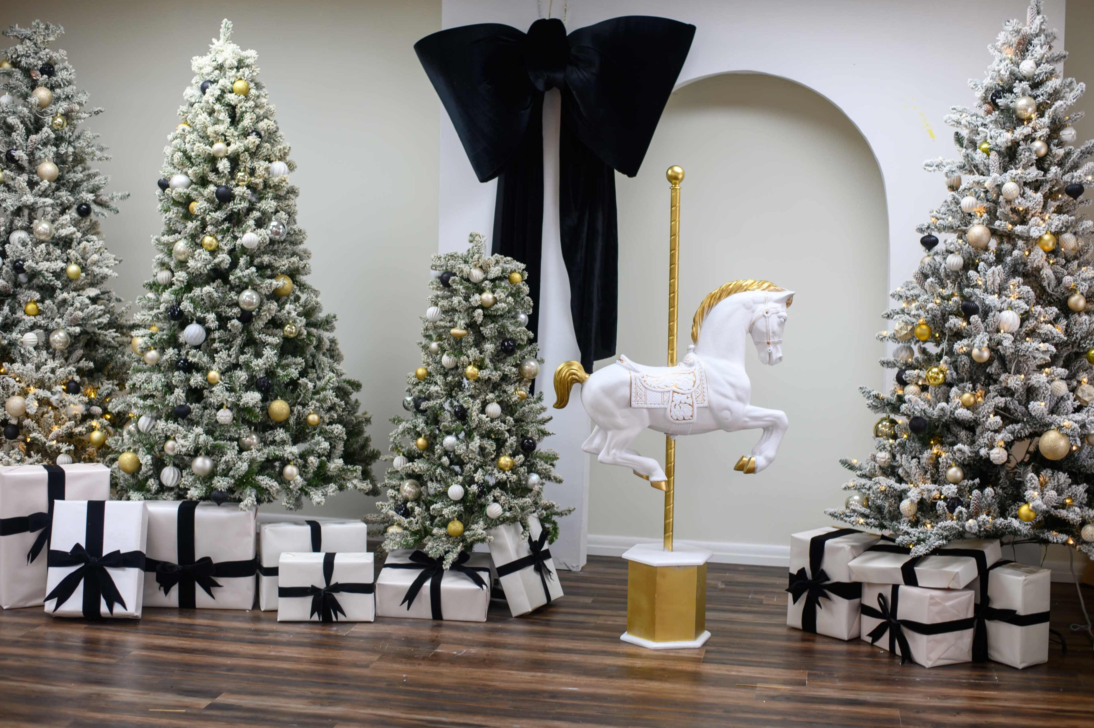 Versatile and Inspiring Photography Studio Image in Greensboro, Greensboro, NC