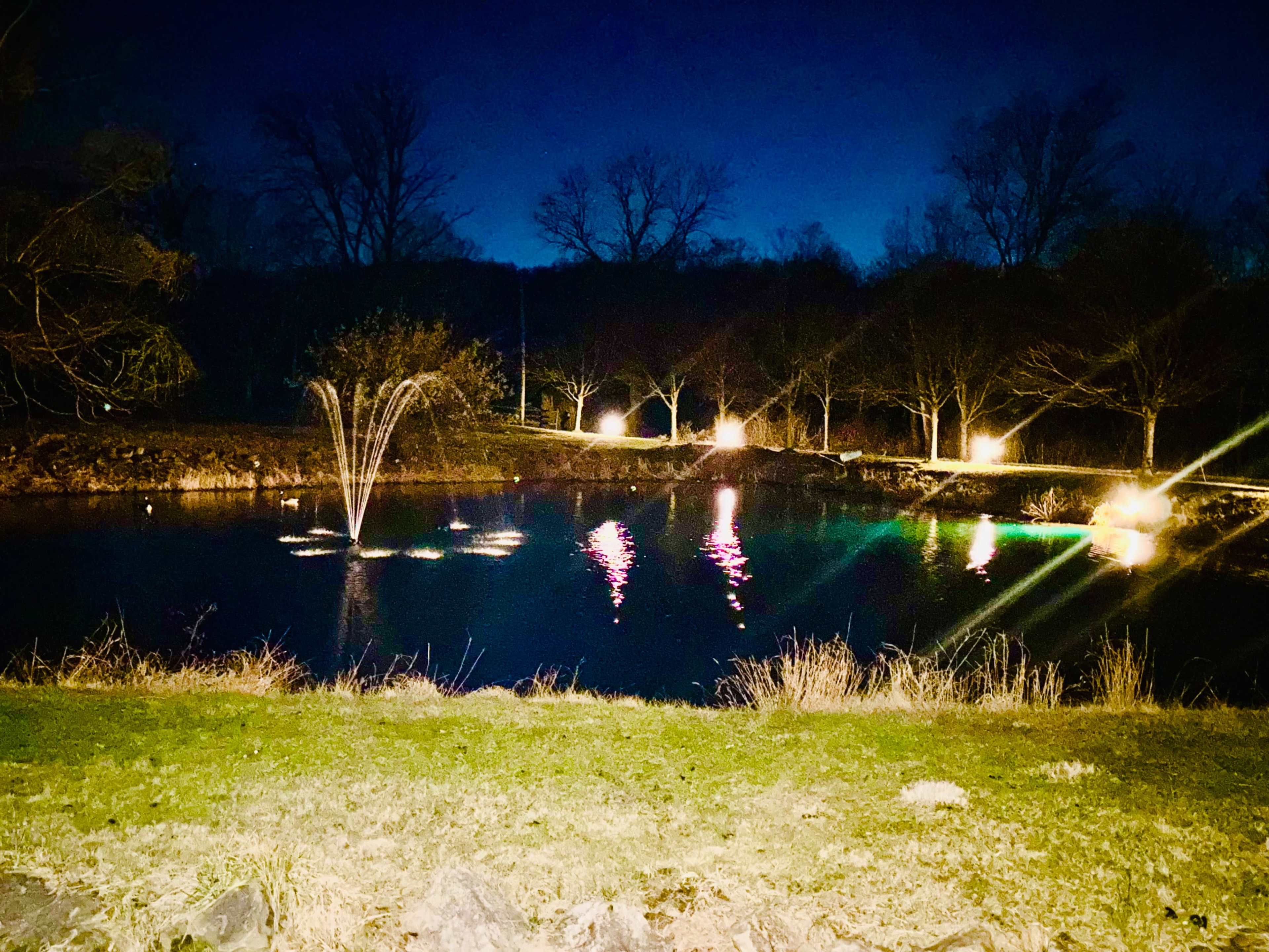 A pond at night features a fountain shooting water into the air, surrounded by dimly lit trees and reflections on the water's surface.