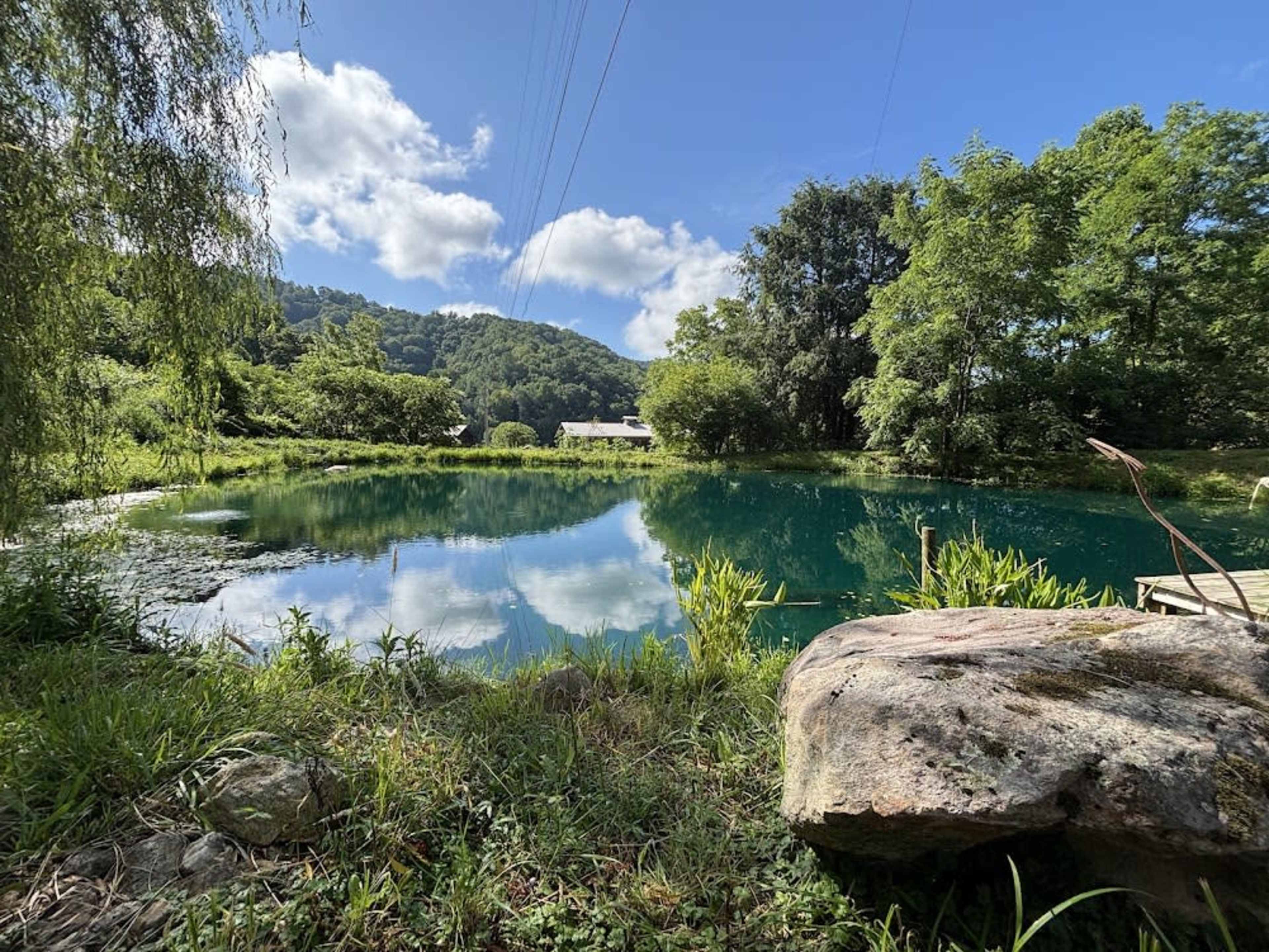 A tranquil pond reflects the blue sky and surrounding greenery, with a rocky edge and power lines in the background.