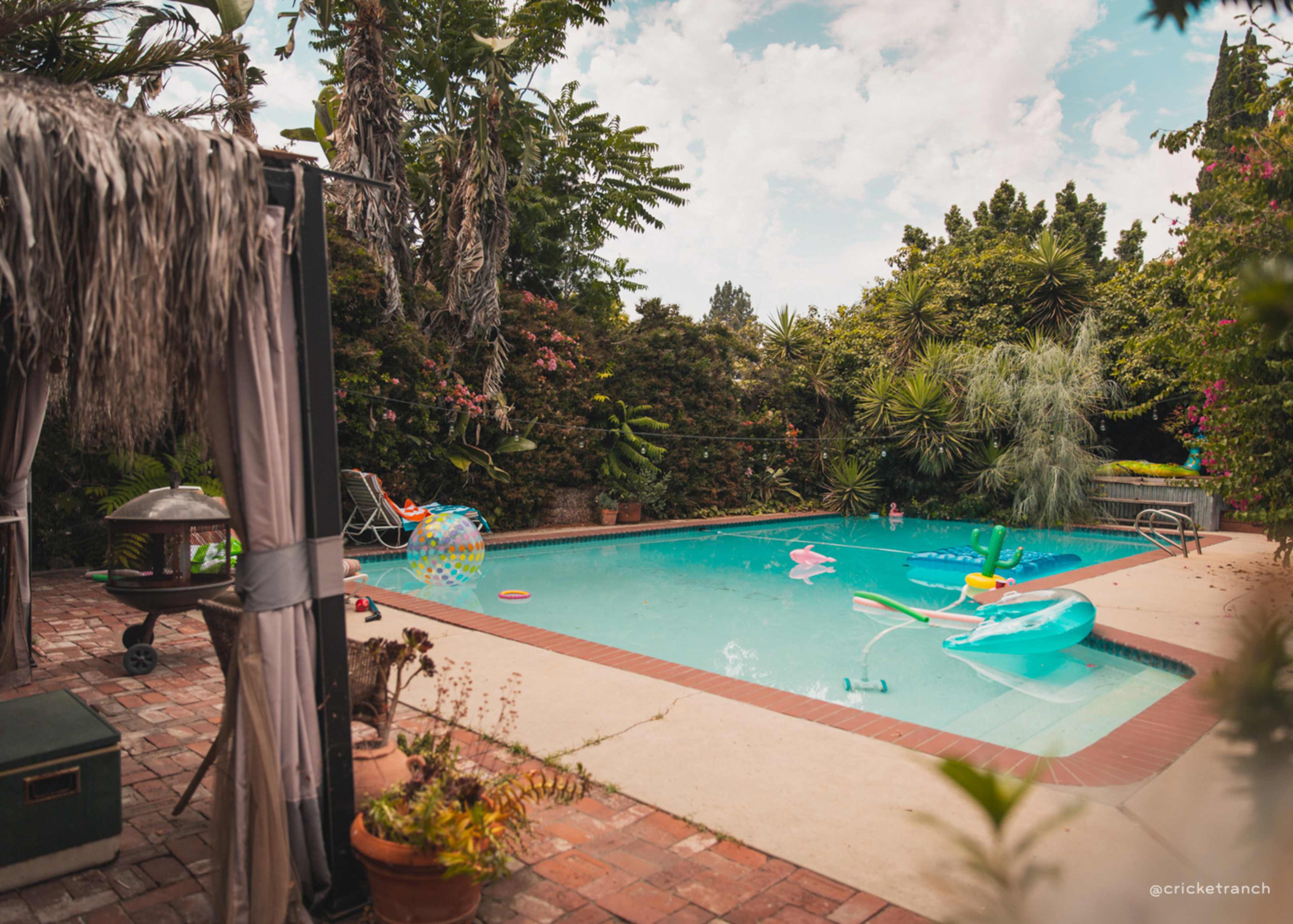 A swimming pool surrounded by lush greenery and colorful inflatable pool toys sits in a backyard setting.