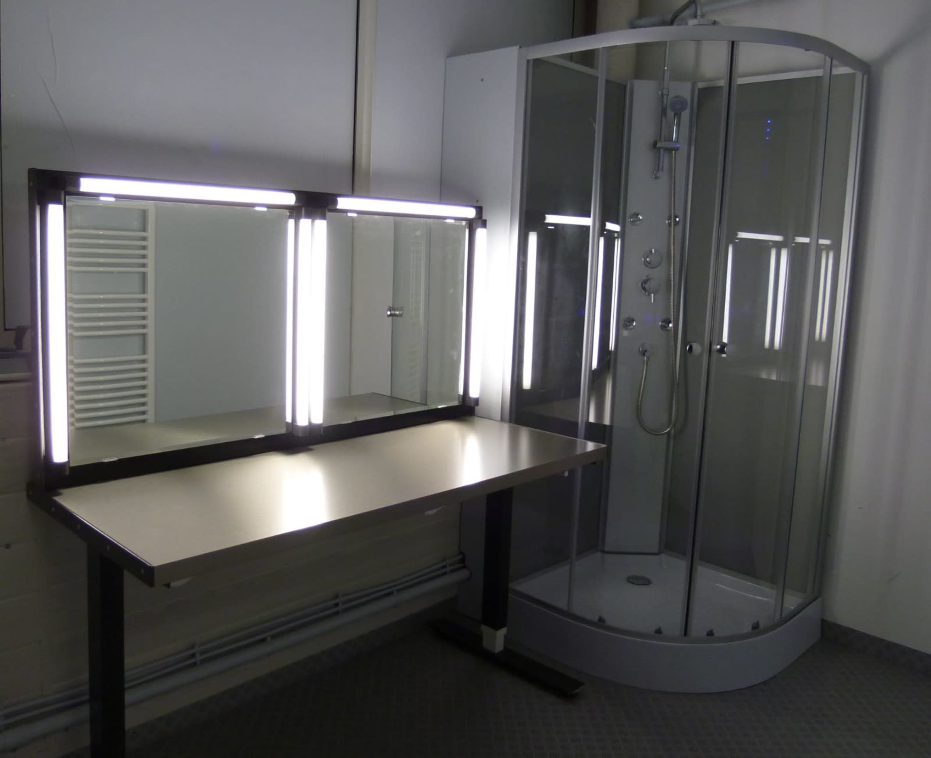 A modern bathroom with a mirrored vanity and a glass-enclosed shower.