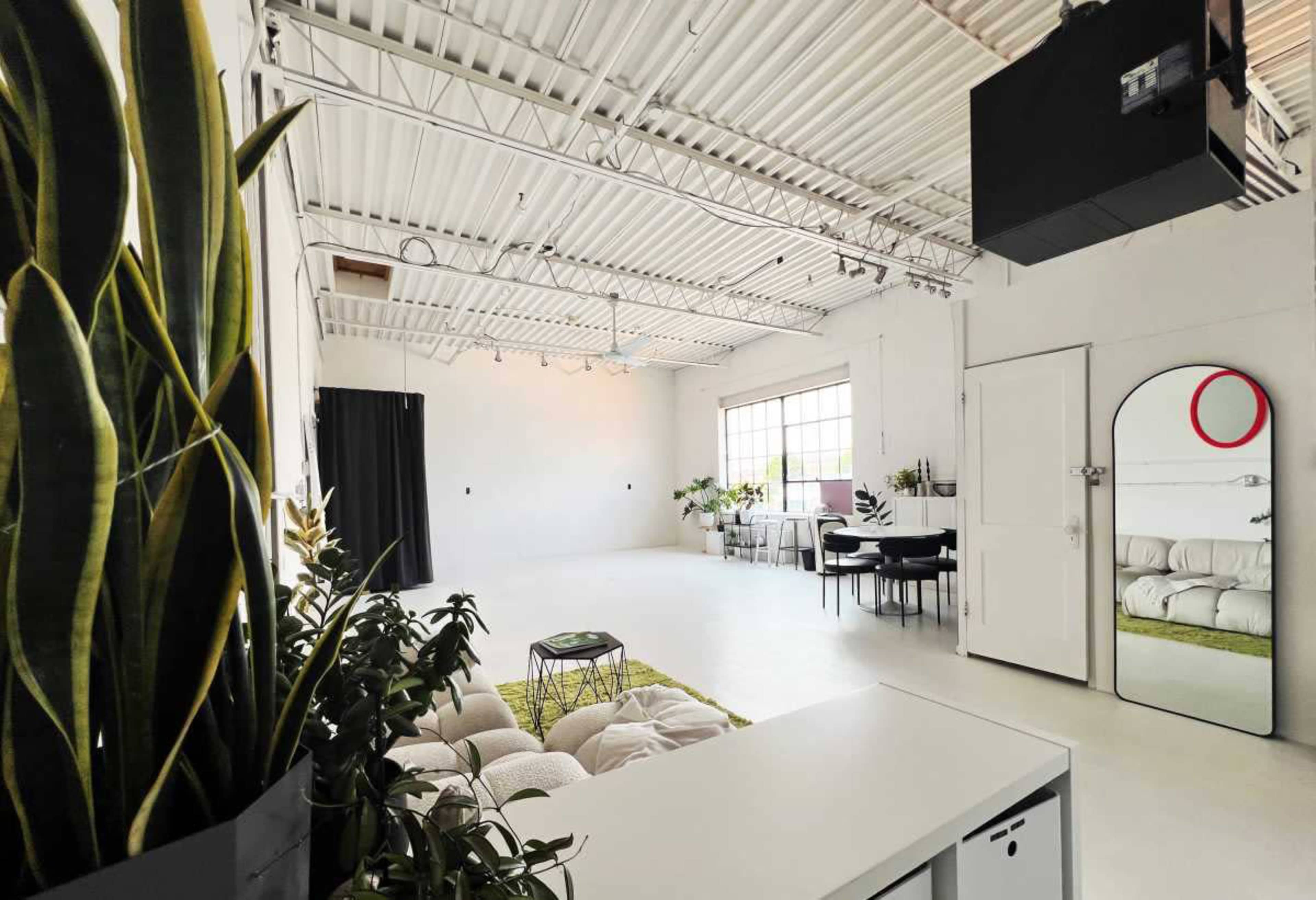The image shows a large, minimalistic studio space with white walls, a sofa, a dining area, and several plants.