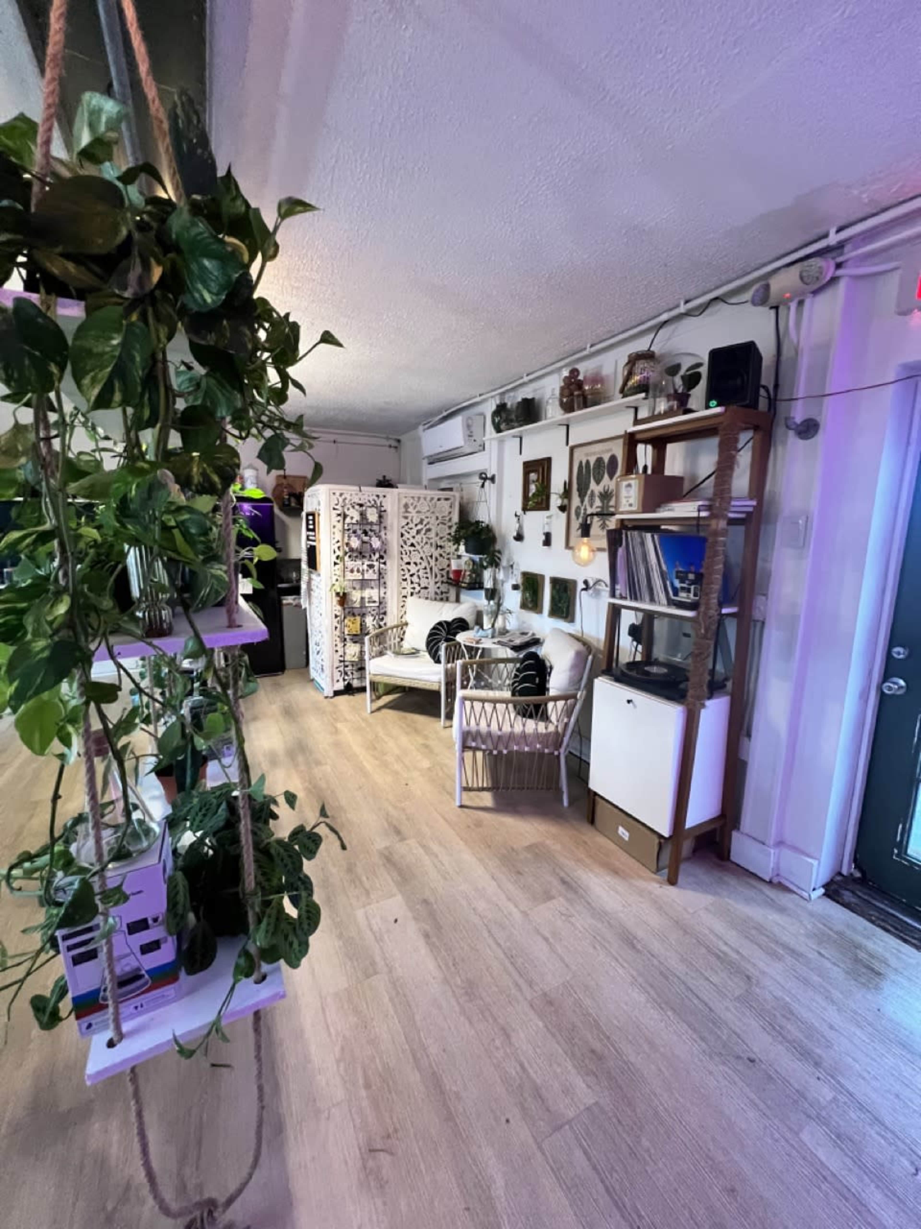 Beachfront Plant Shop & Outdoor Space Image in Flagler Beach, Flagler Beach, FL