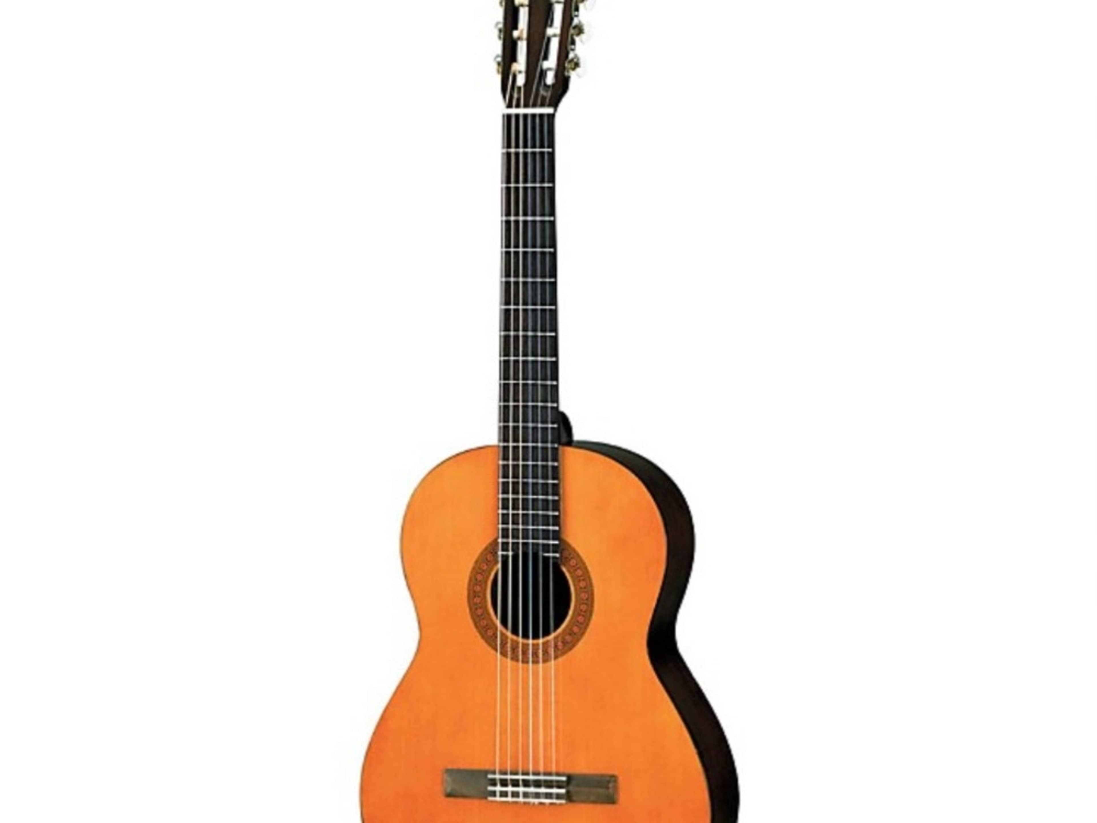Guitar (Electric or Acoustic)