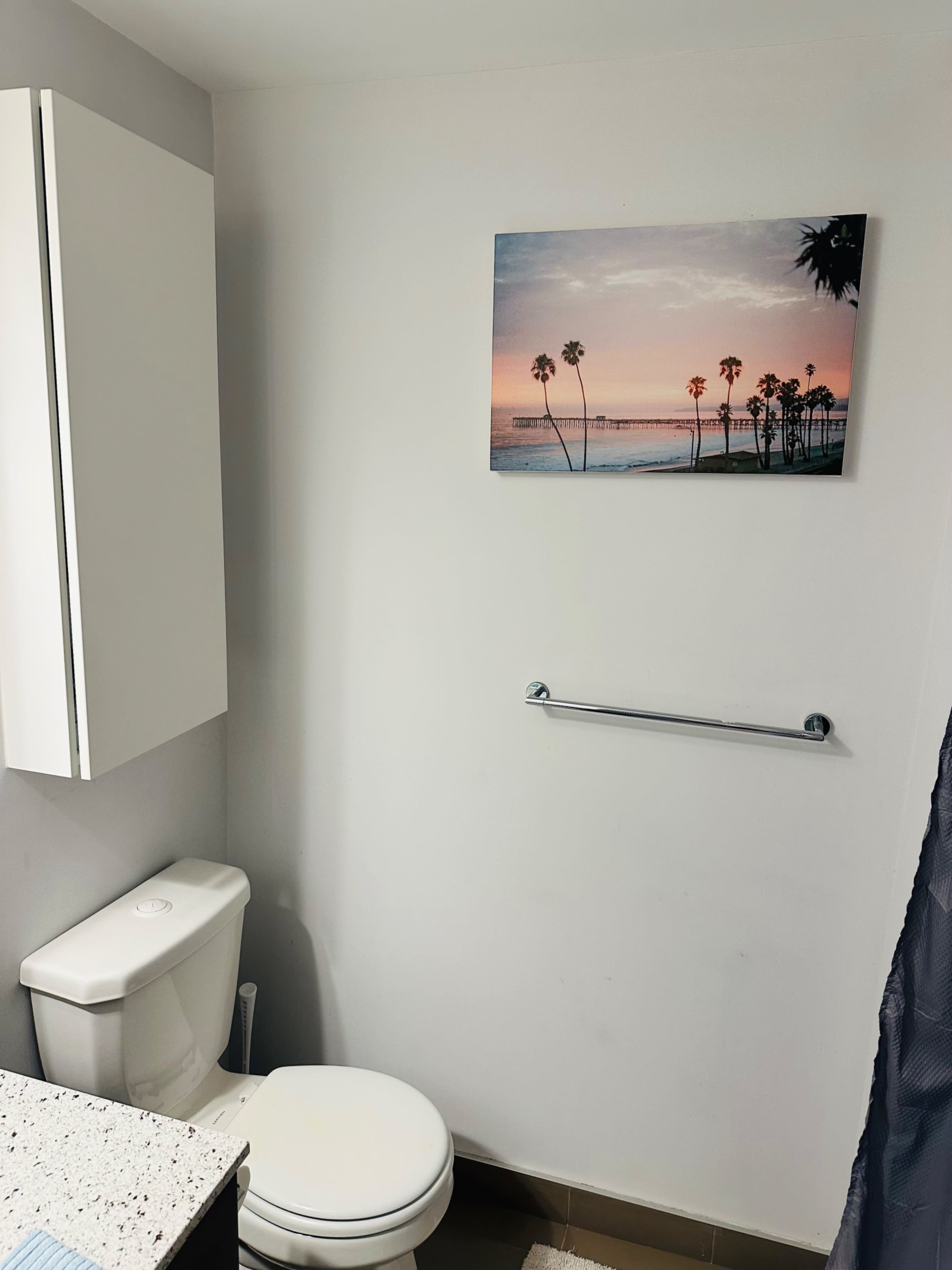 The image shows a bathroom featuring a white toilet, a small cabinet, and a wall-mounted towel rack, with a framed picture of a beach scene above the toilet.