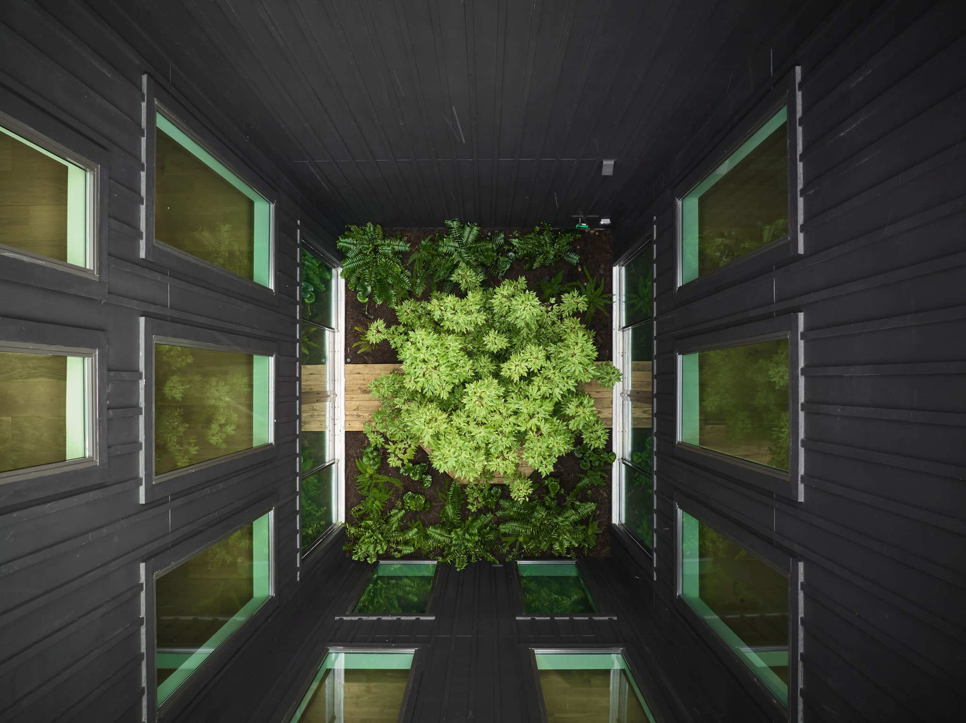 Suburban Luxury: The Garden Oak Image in , Conroe, TX