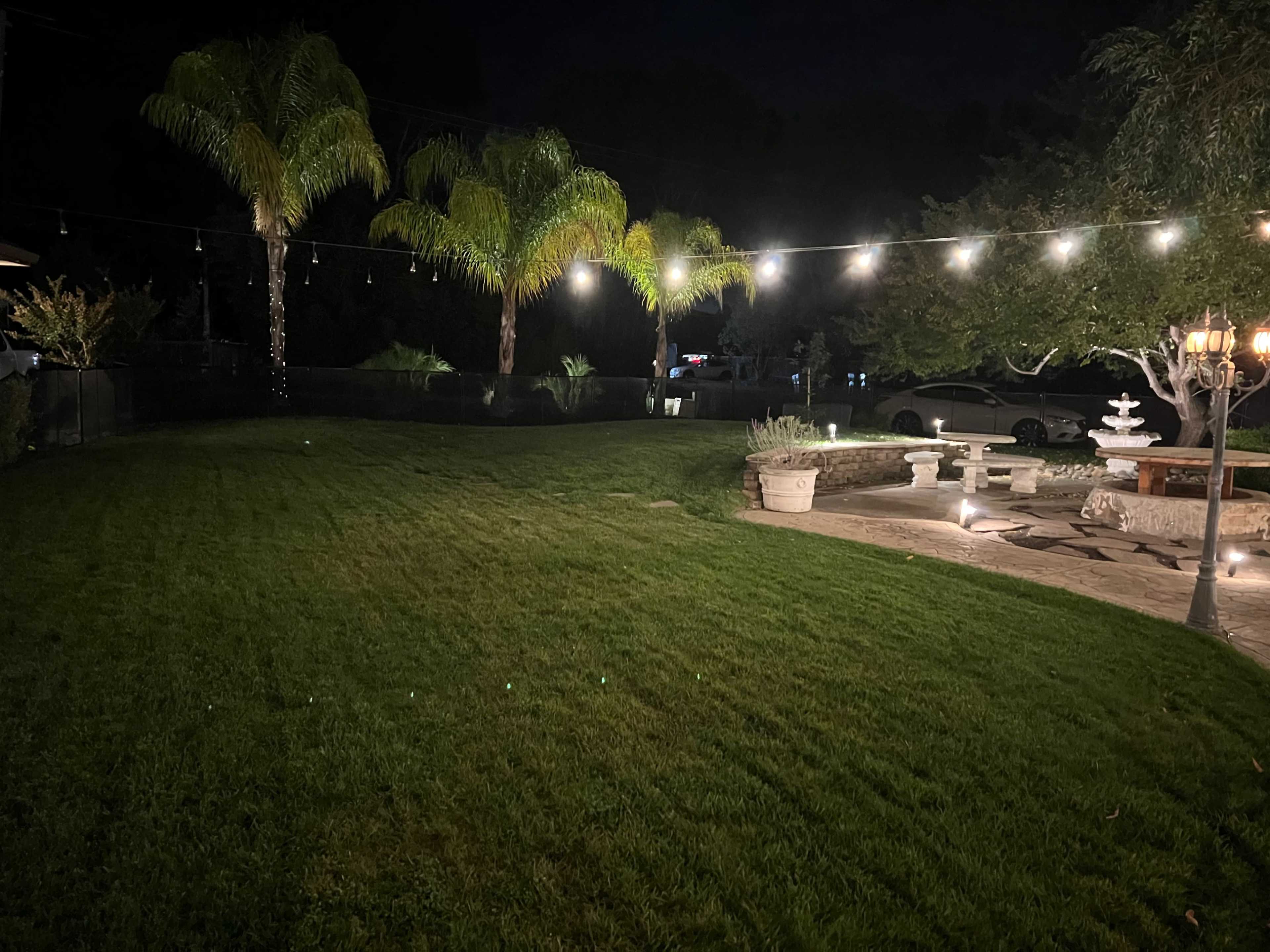 A well-maintained backyard at night, featuring palm trees, string lights overhead, and a patio area with decorative elements.