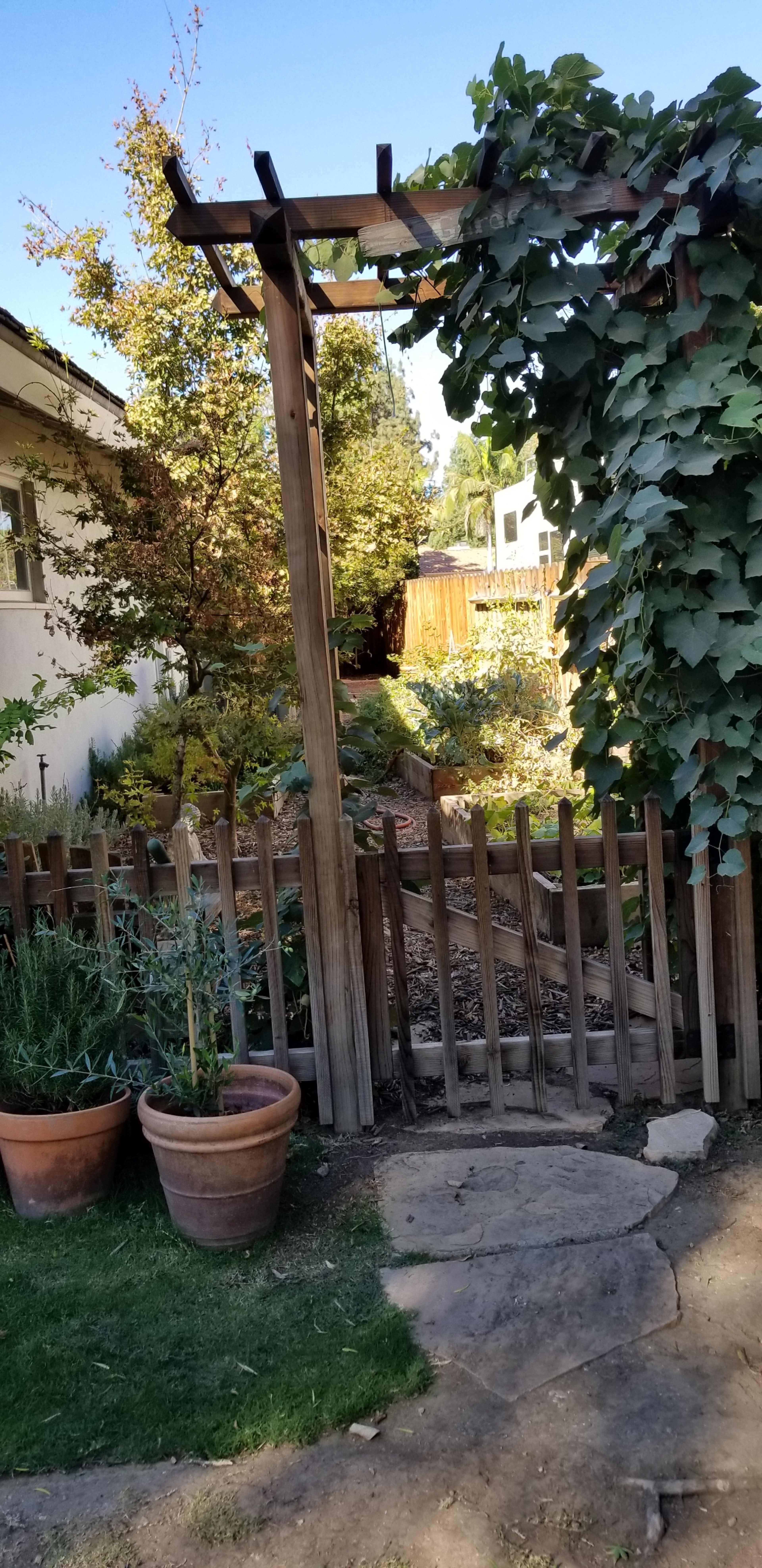 A wooden arbor covered in greenery frames a pathway leading into a garden surrounded by a low wooden fence.