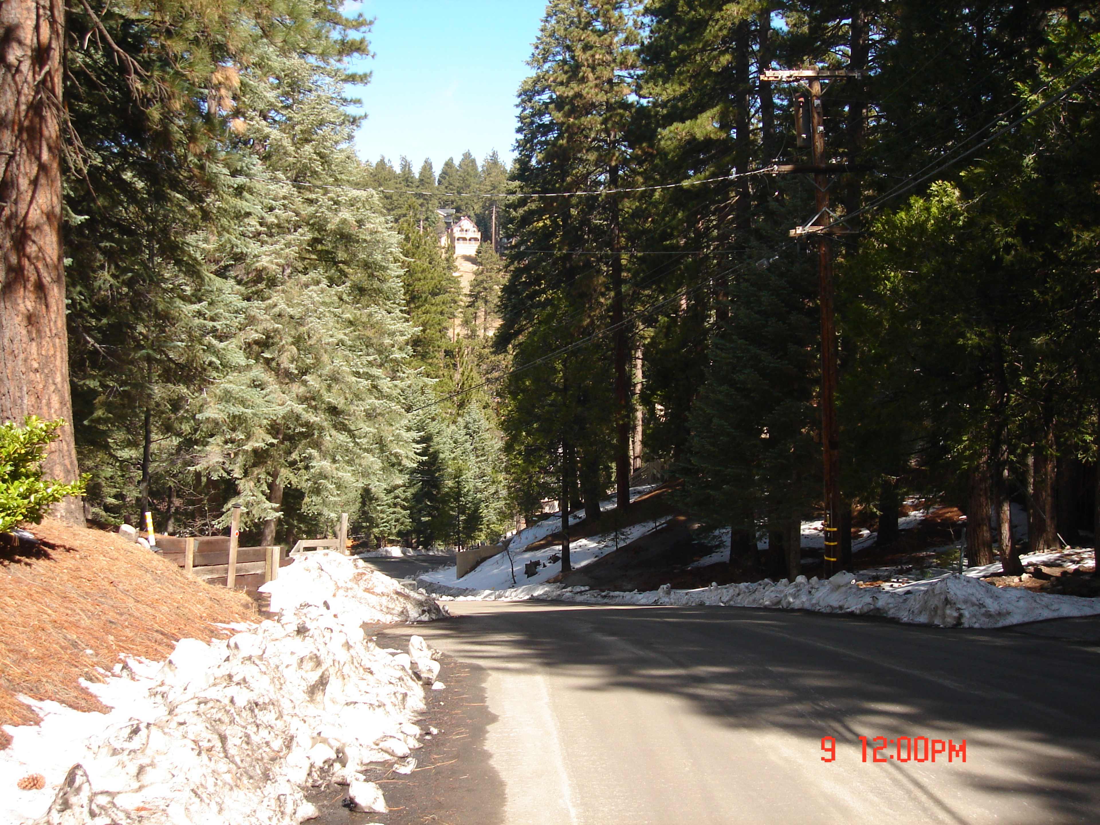 A road lined with tall coniferous trees, with patches of melting snow on the ground under a clear blue sky.