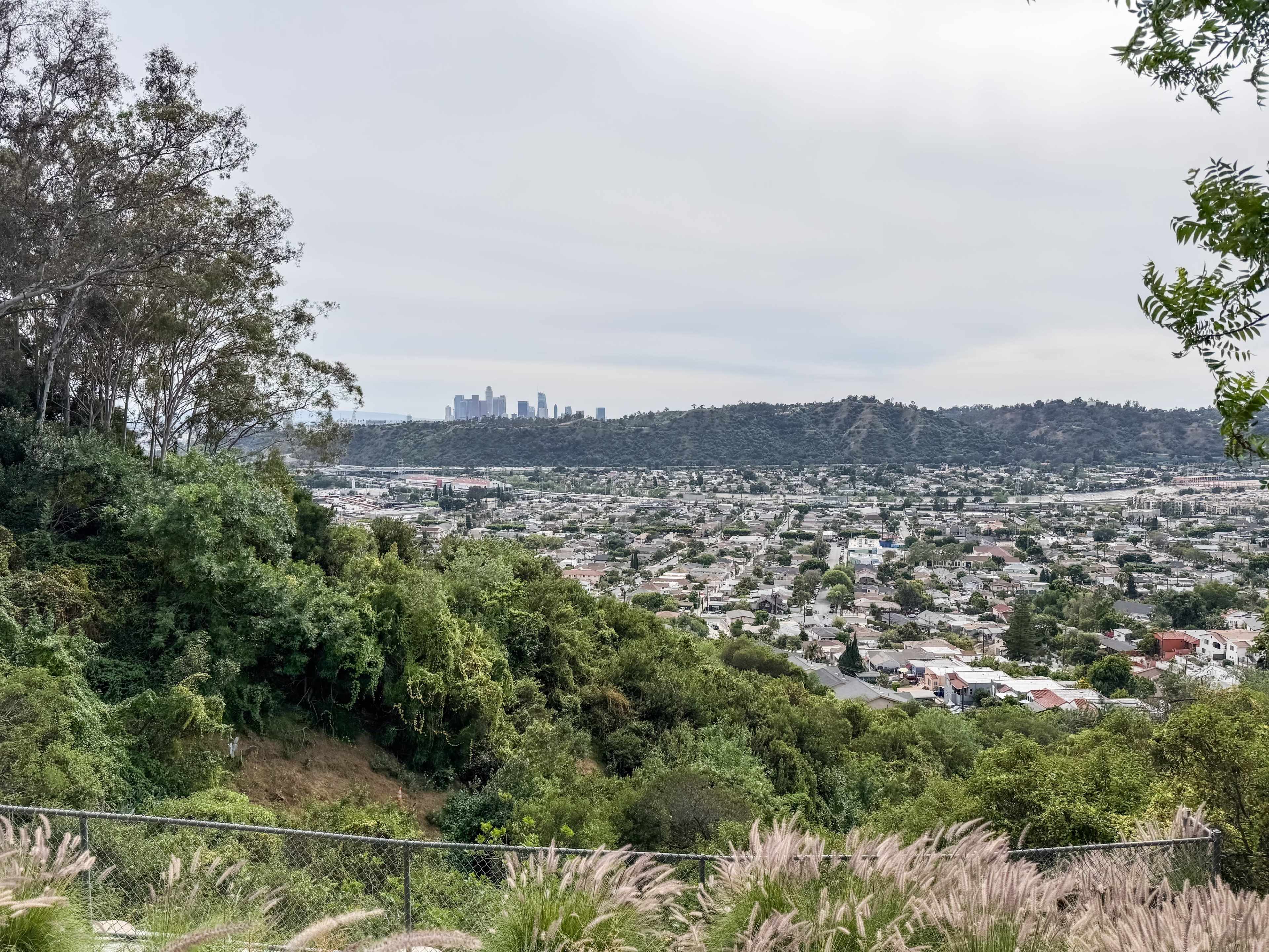 The image shows a panoramic view of a city skyline surrounded by hills and residential areas, framed by greenery in the foreground.