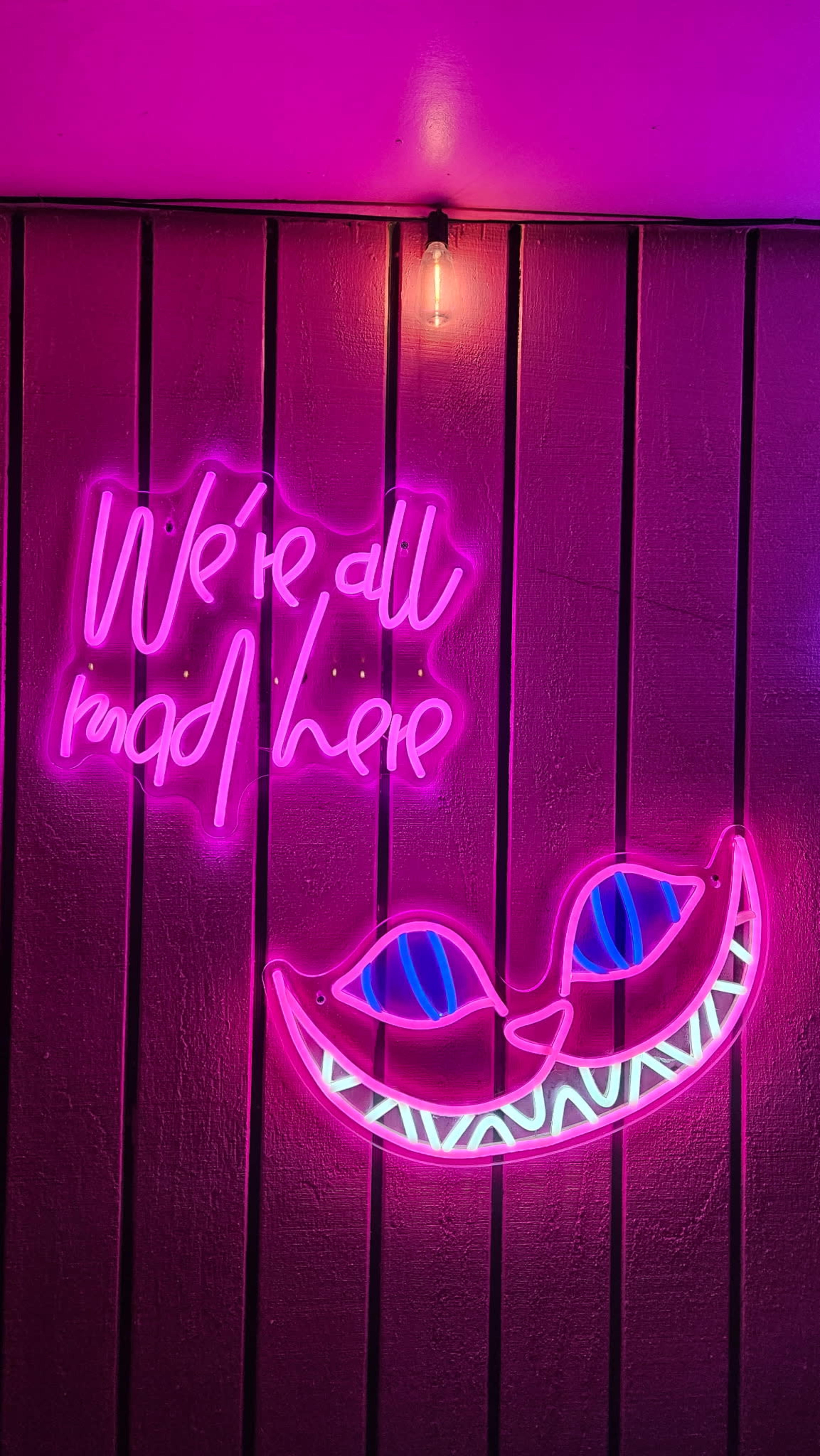 WonderDust Ranch -Indoor, Outdoor Large Chic Event Space Image in Homestead Valley, yucca valley, CA