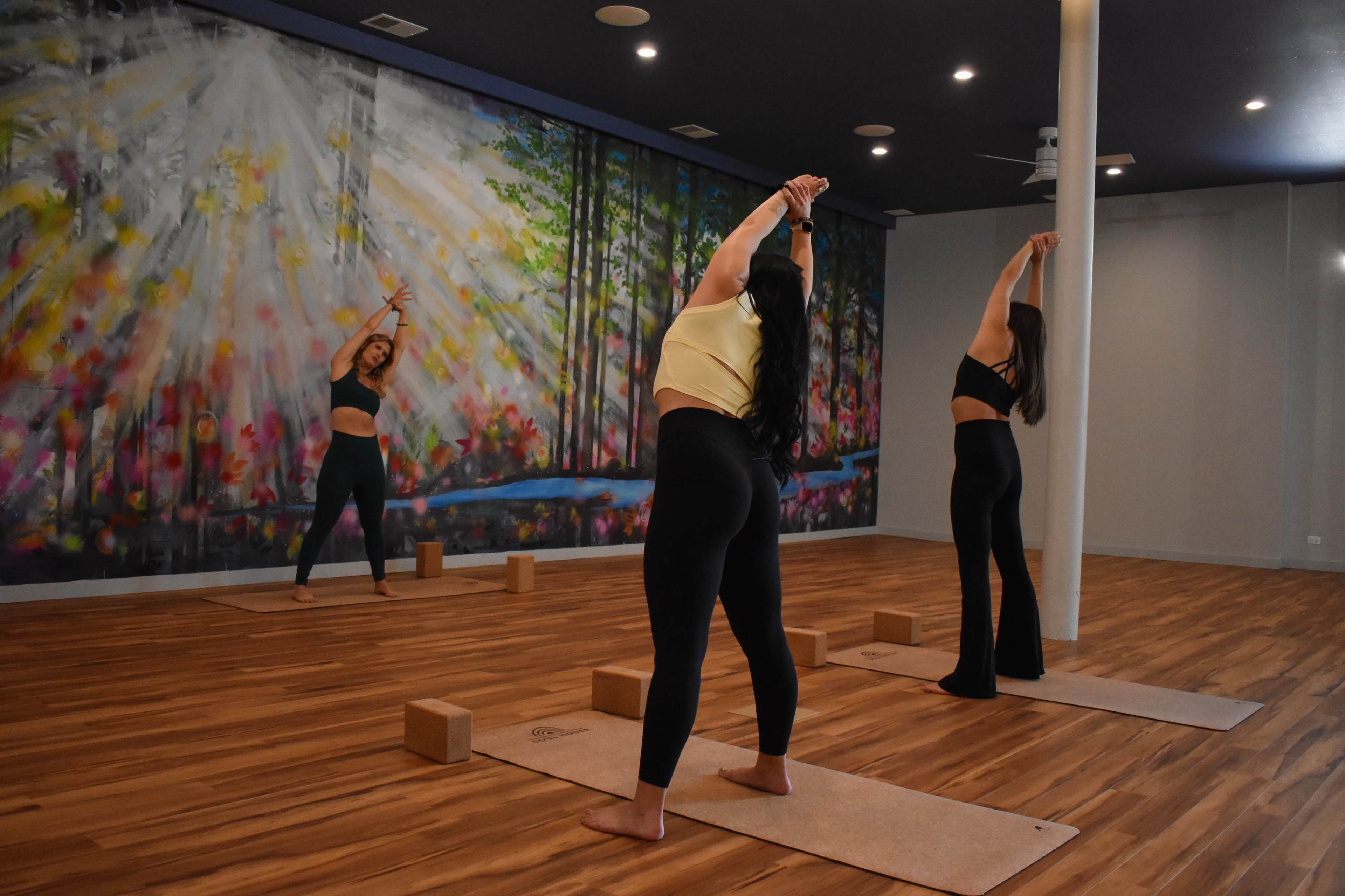Bright, Artistic Wellness Studio & Spa – Perfect for Photoshoots, Events & Workshops Image in Near West Side, Chicago, IL