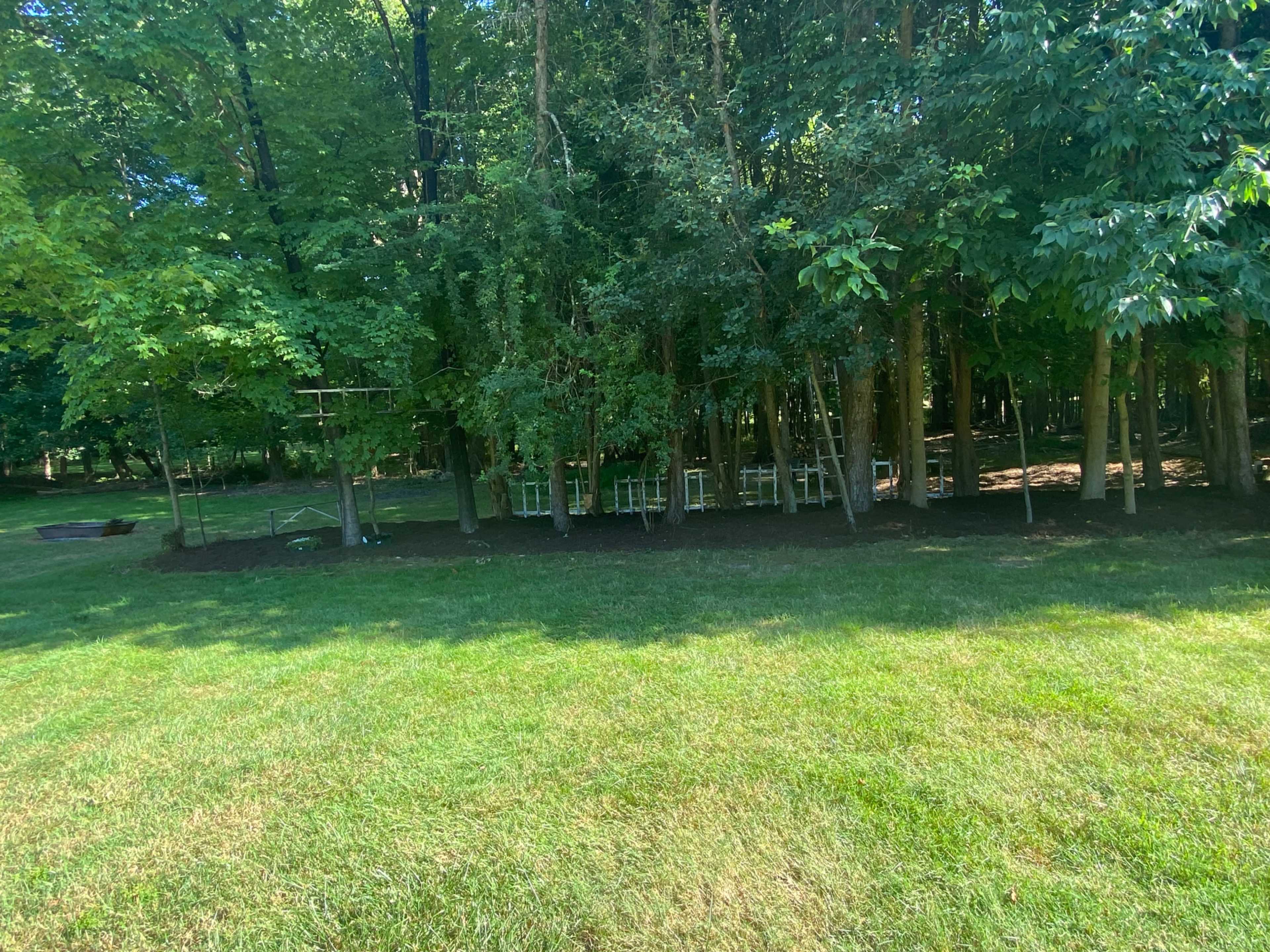 A neatly maintained grassy area leads up to a dense grove of trees, where wooden chairs are lined up along the edge.
