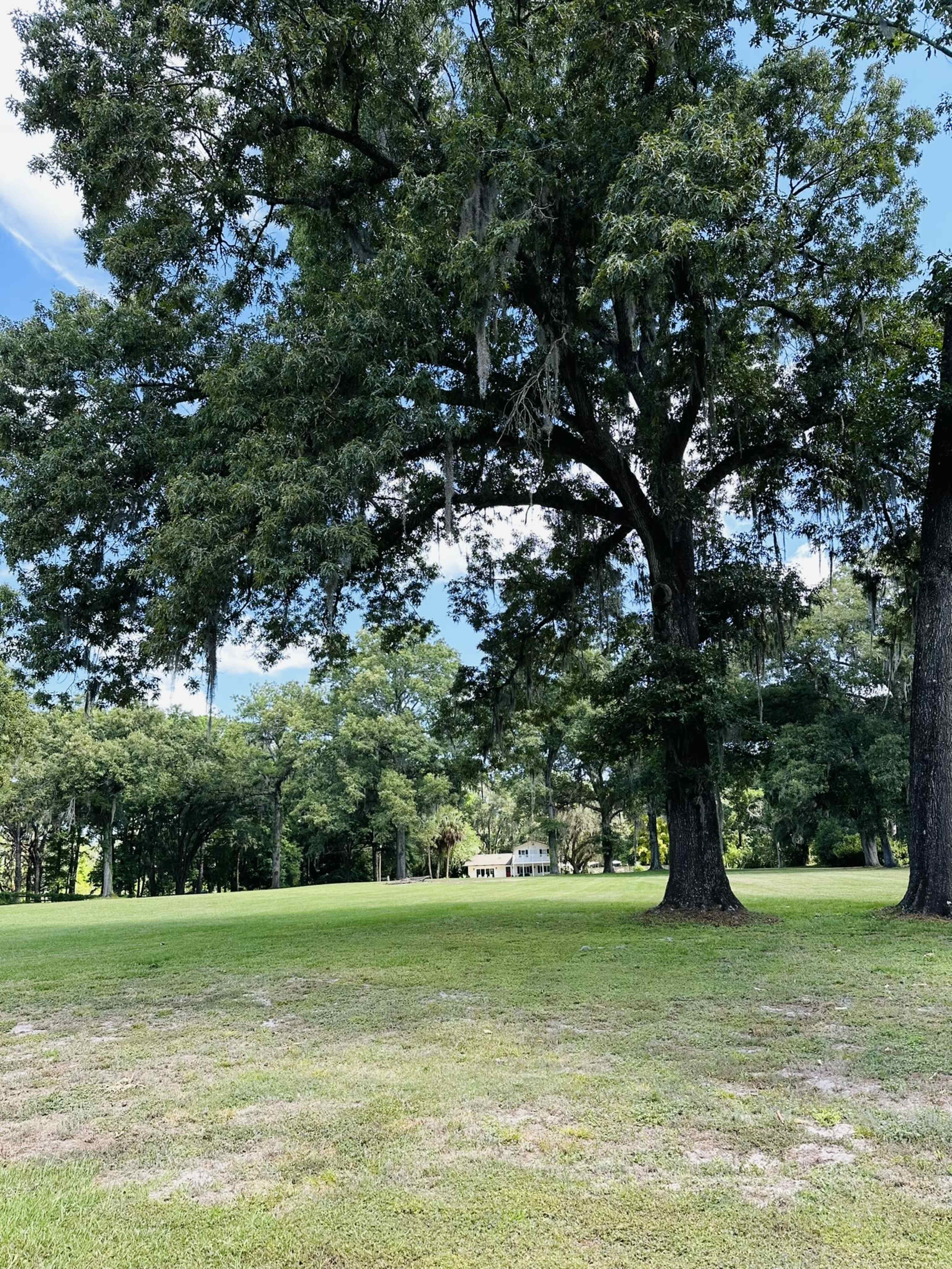 A large grassy area is framed by tall trees, with a building visible in the background under a partly cloudy sky.