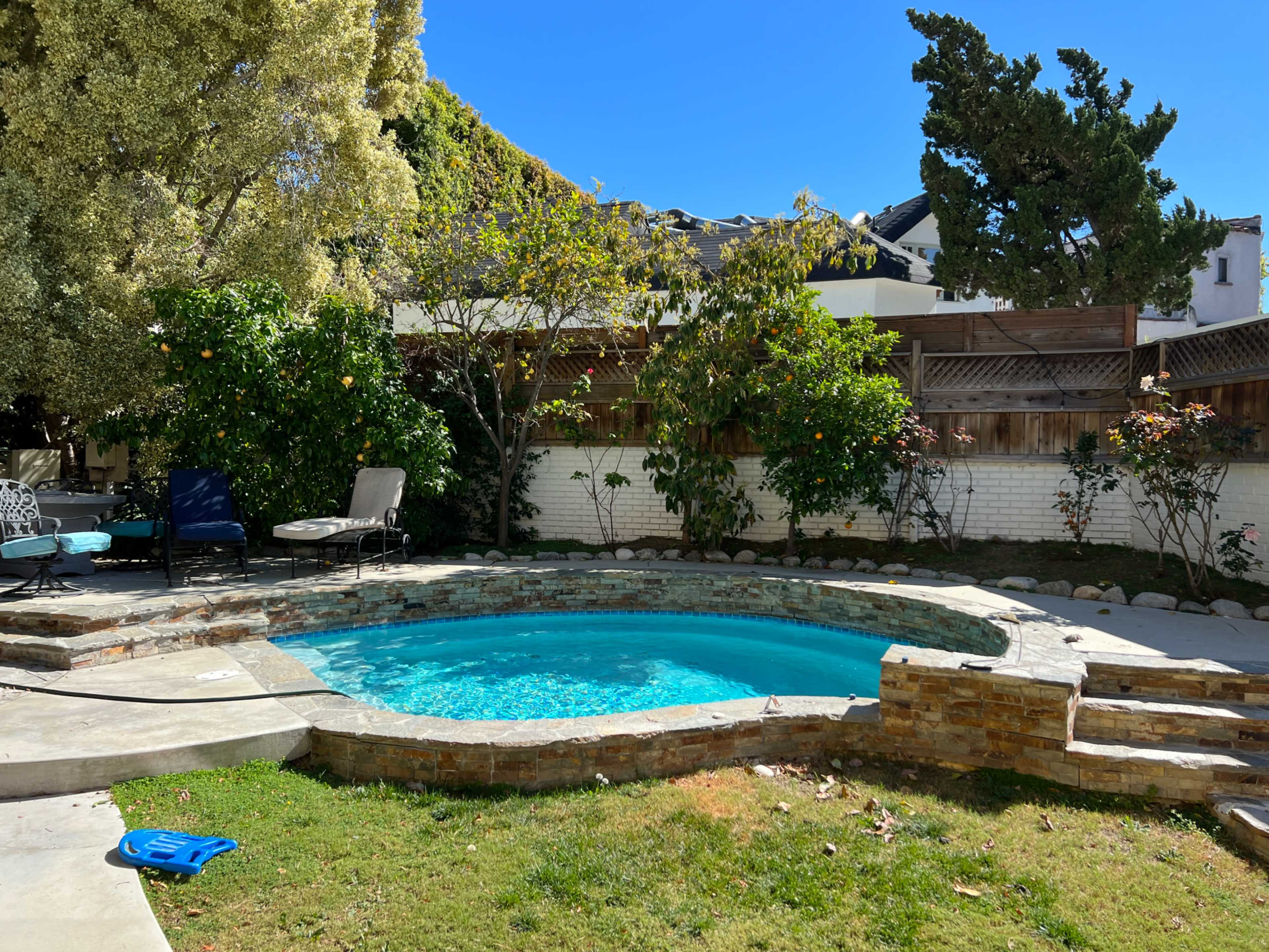 A landscaped backyard with a circular swimming pool surrounded by stone edging, lawn, and fruit trees.
