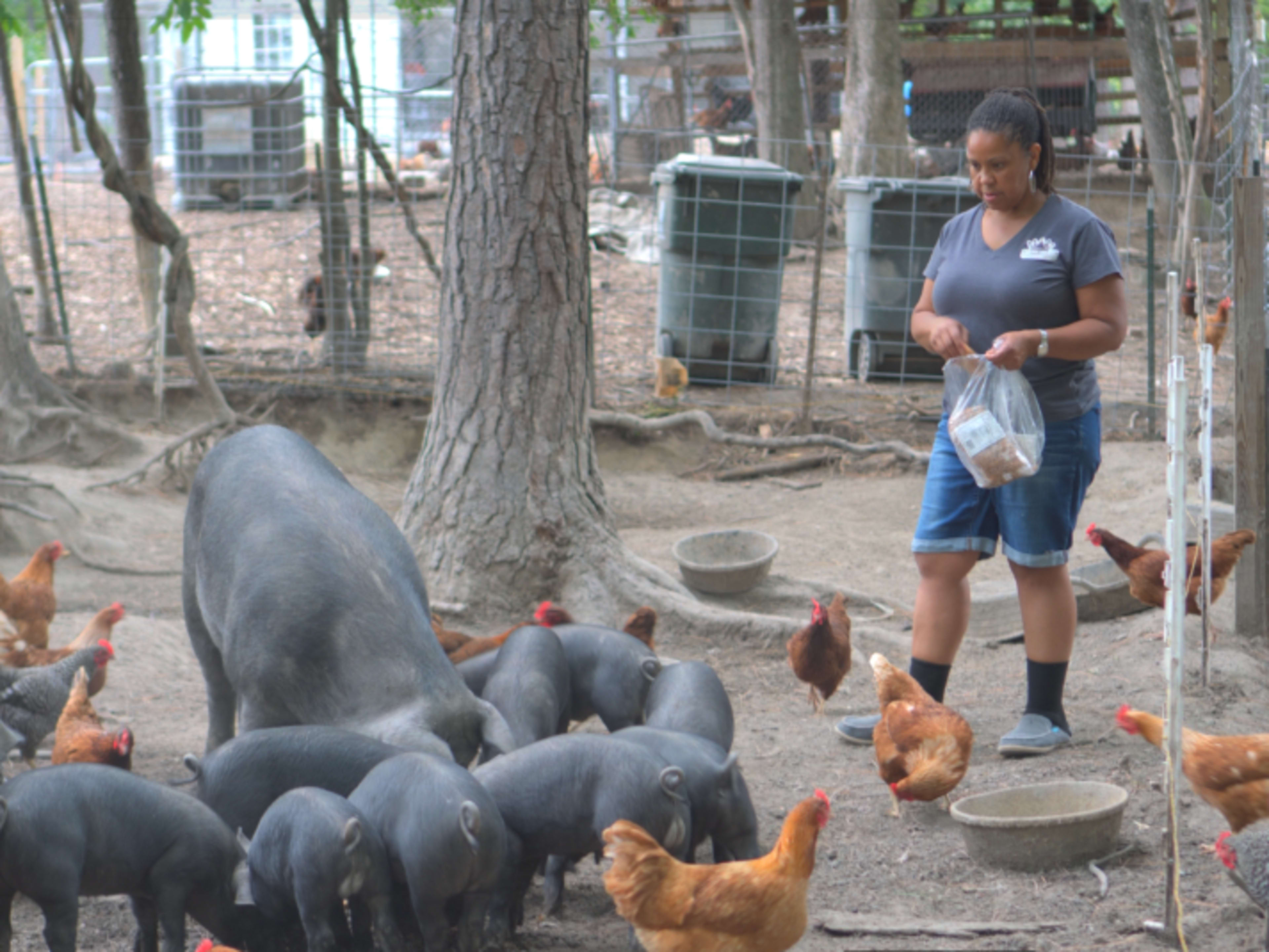 Farm Tour