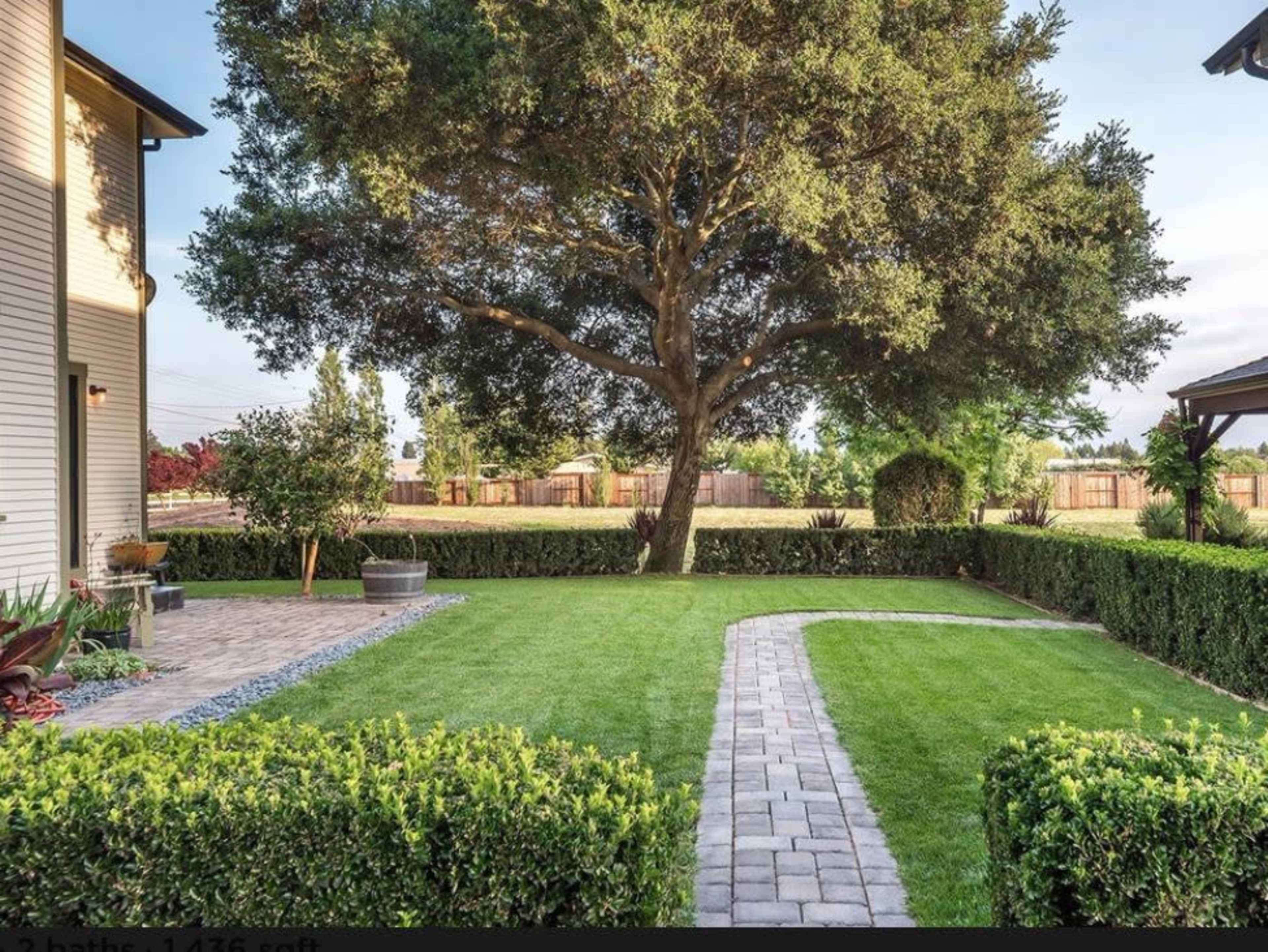 A landscaped yard with a large tree and a curving stone pathway bordered by trimmed hedges.