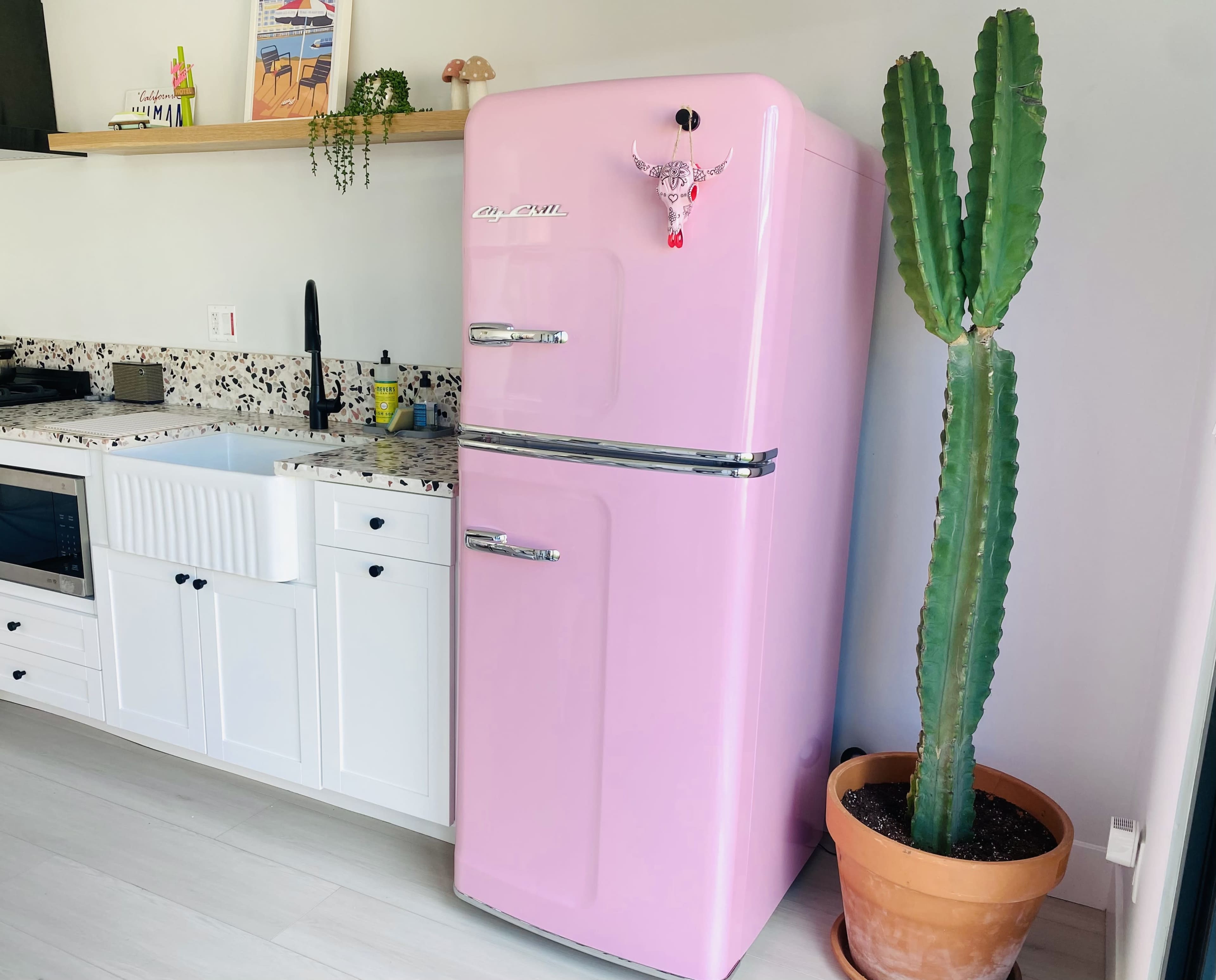 A pink retro refrigerator stands next to a tall cactus in a modern kitchen with a marble countertop and white cabinetry.