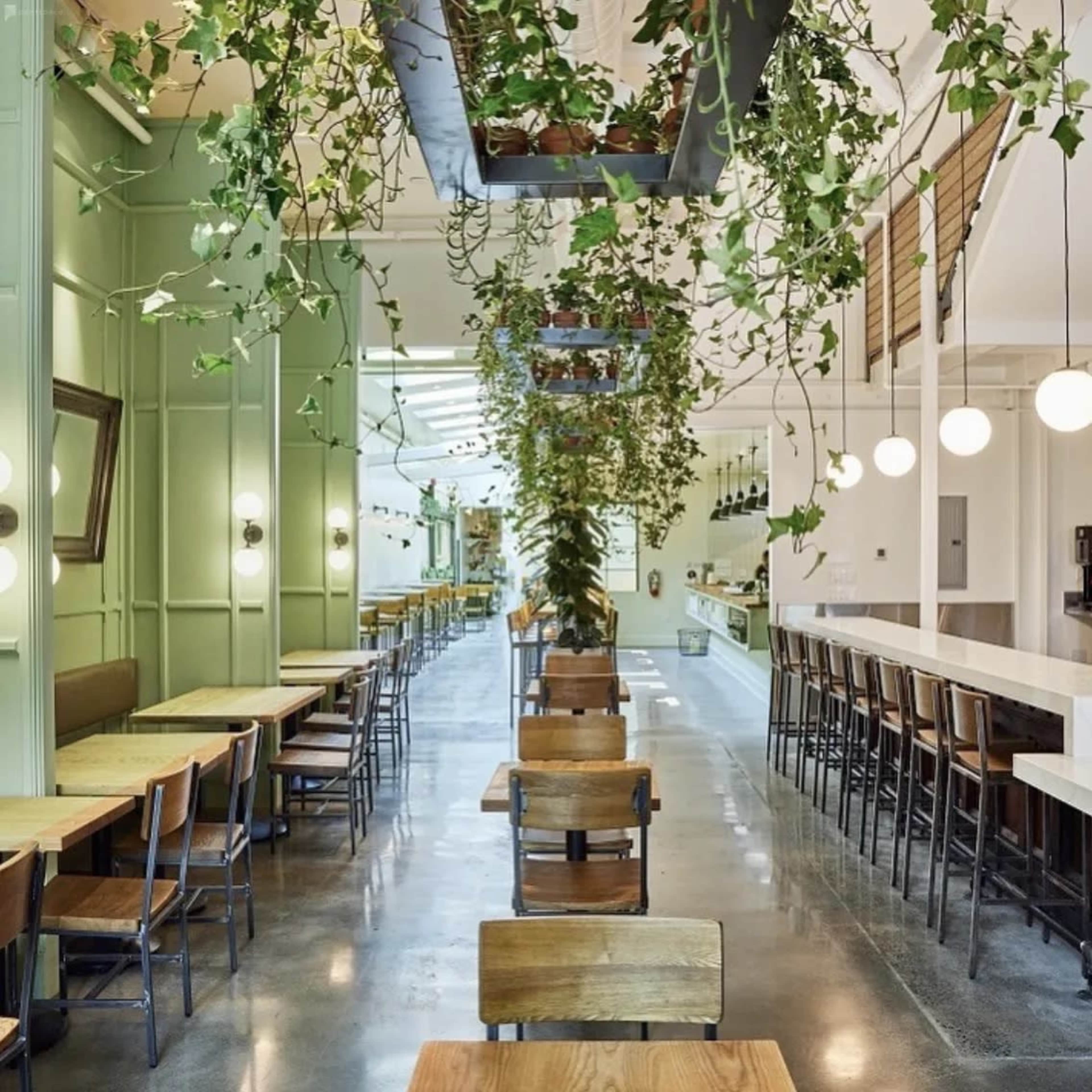The image shows a modern café interior with wooden tables, metal chairs, and hanging plants from the ceiling.