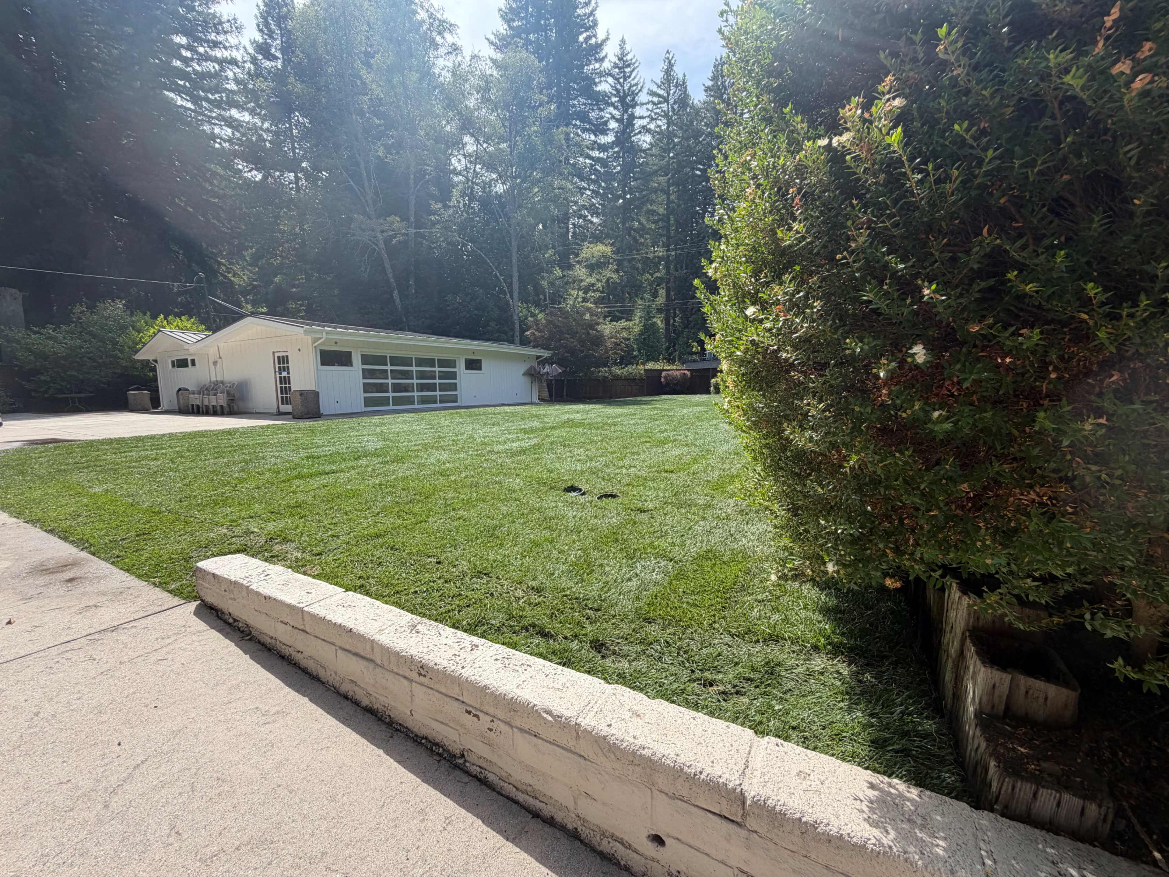 The image shows a well-maintained lawn in front of a house surrounded by tall trees.