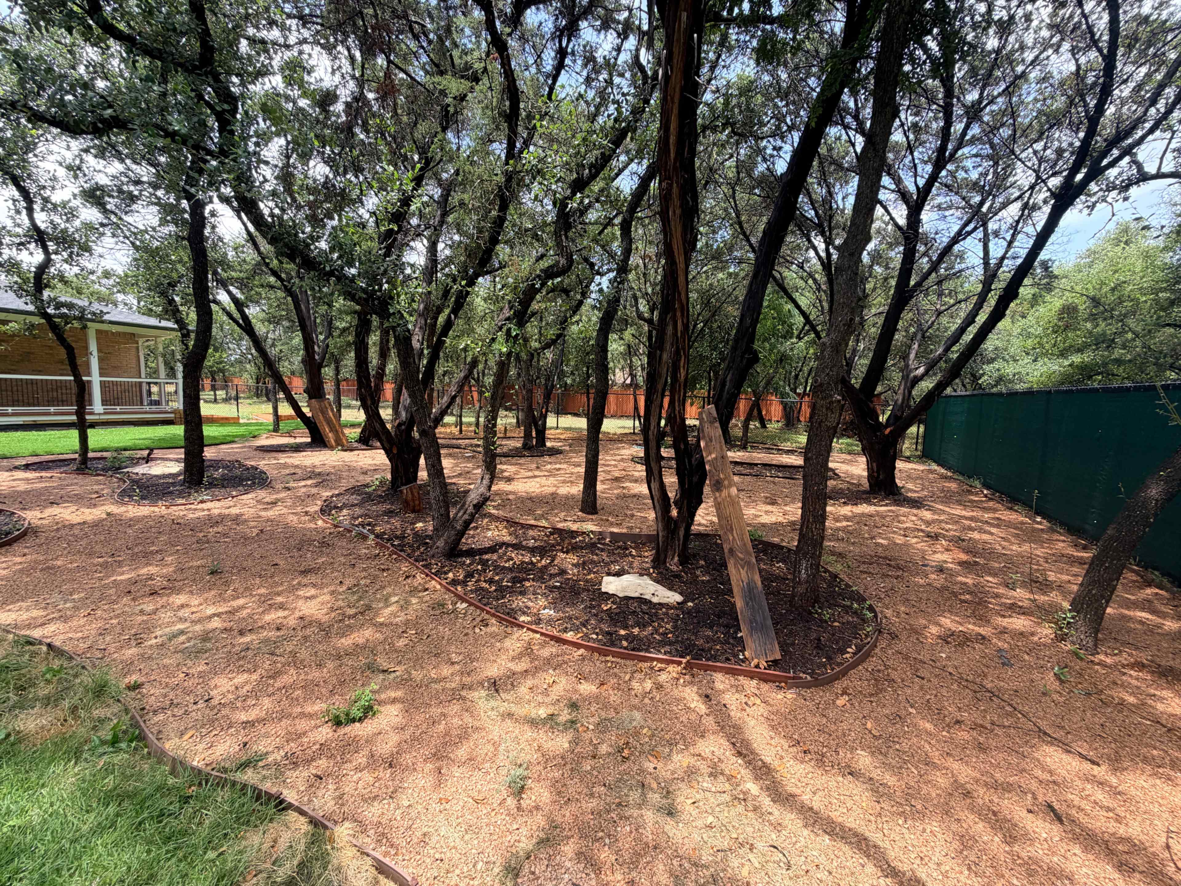 The image shows a landscape filled with trees and mulch, creating a natural area in an outdoor setting.