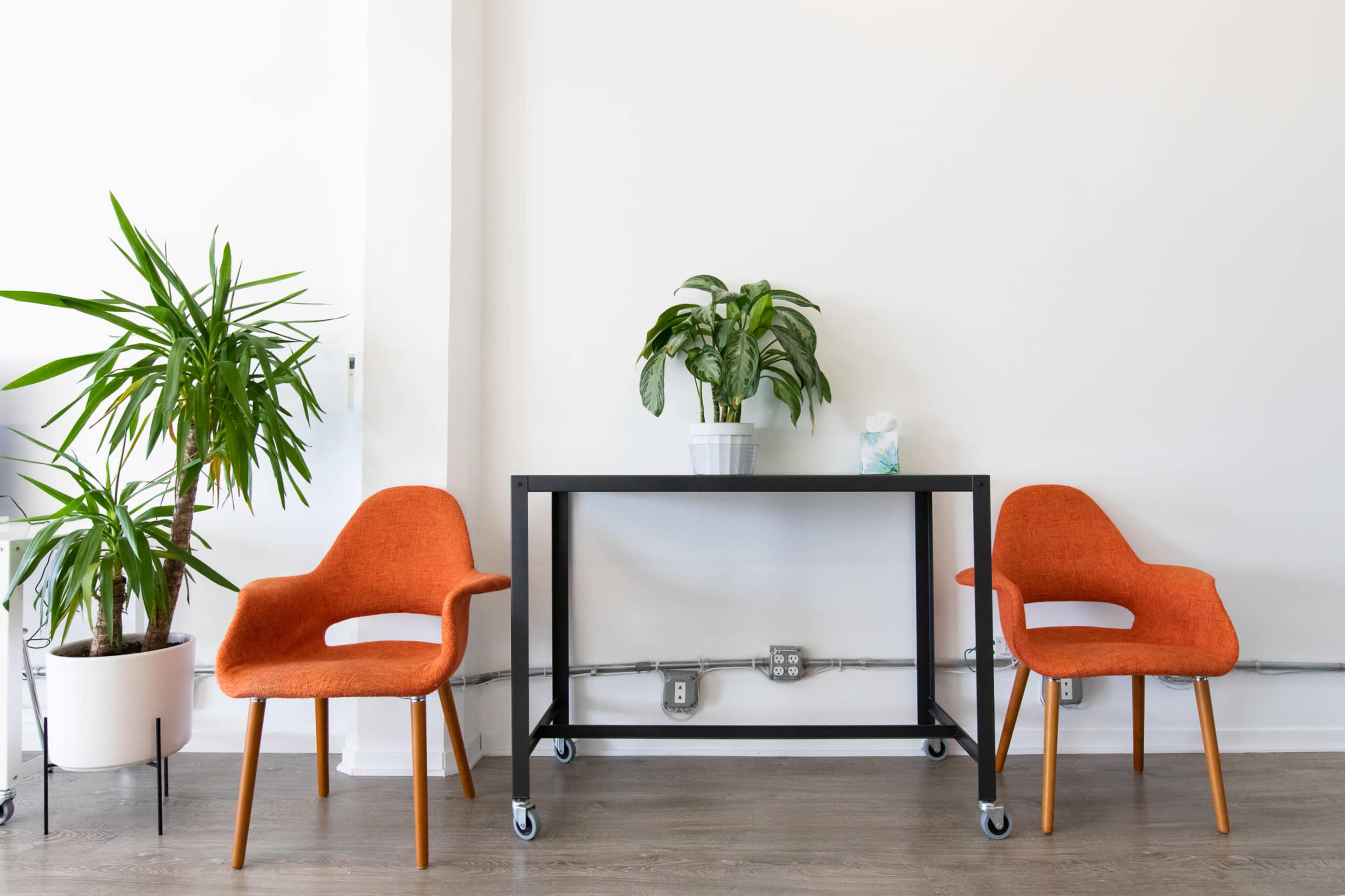 Two orange chairs on either side of a black table, with a potted plant on top and another plant growing beside it against a white wall.