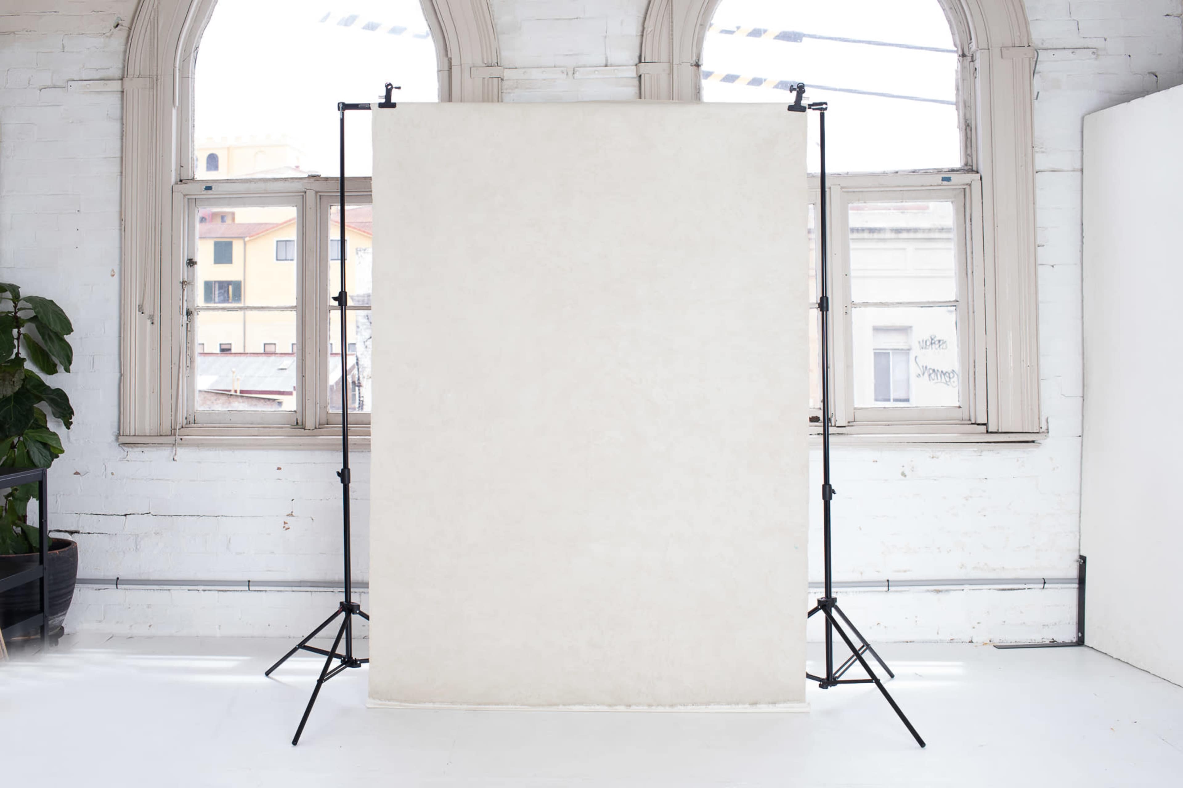 Natural and Studio light studio in Sydney's Inner West Image in Petersham, Petersham, NSW