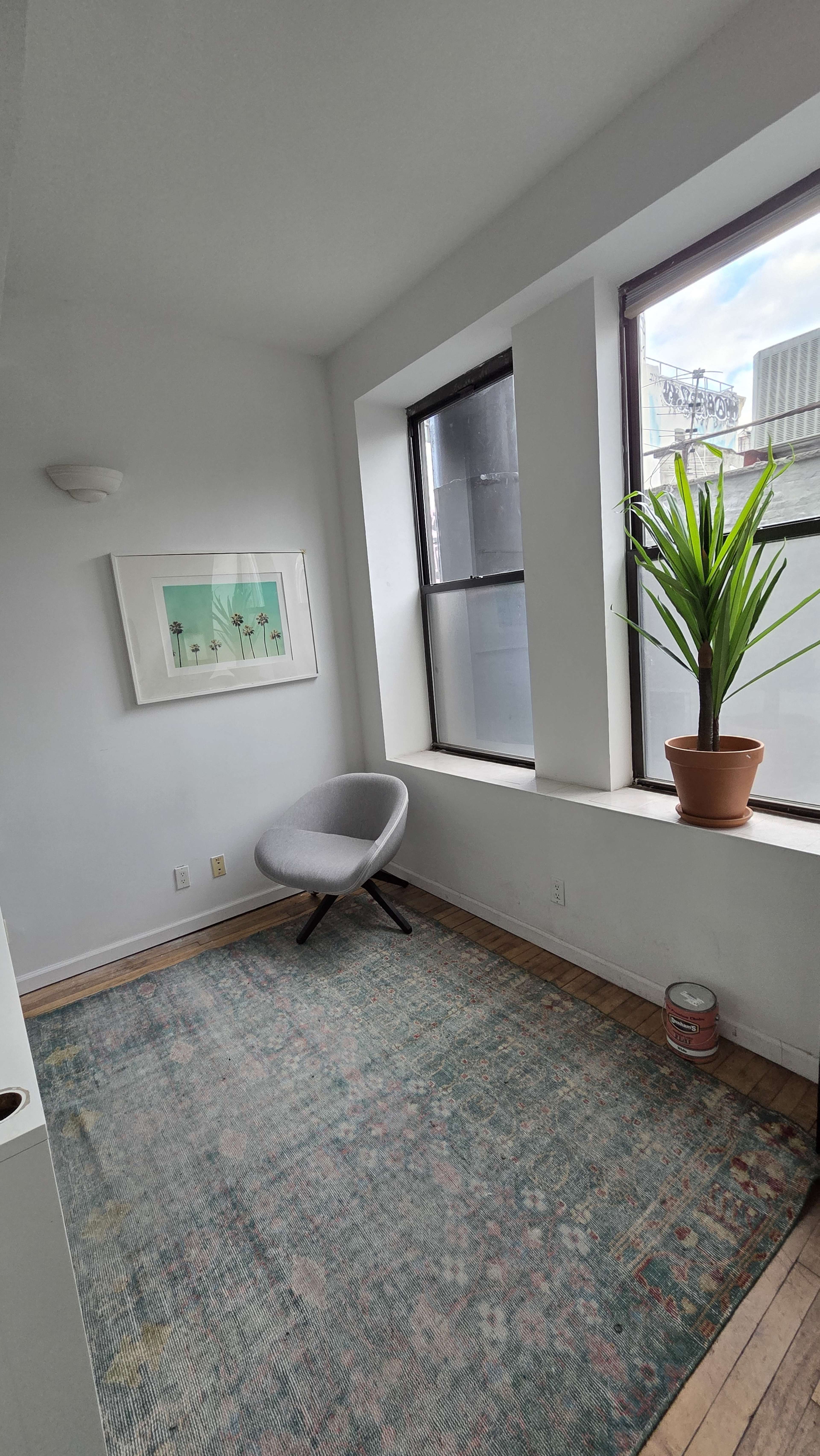 The image shows a bright, sparsely furnished room with a single gray chair, a potted plant on the windowsill, and a colorful area rug on the wooden floor.