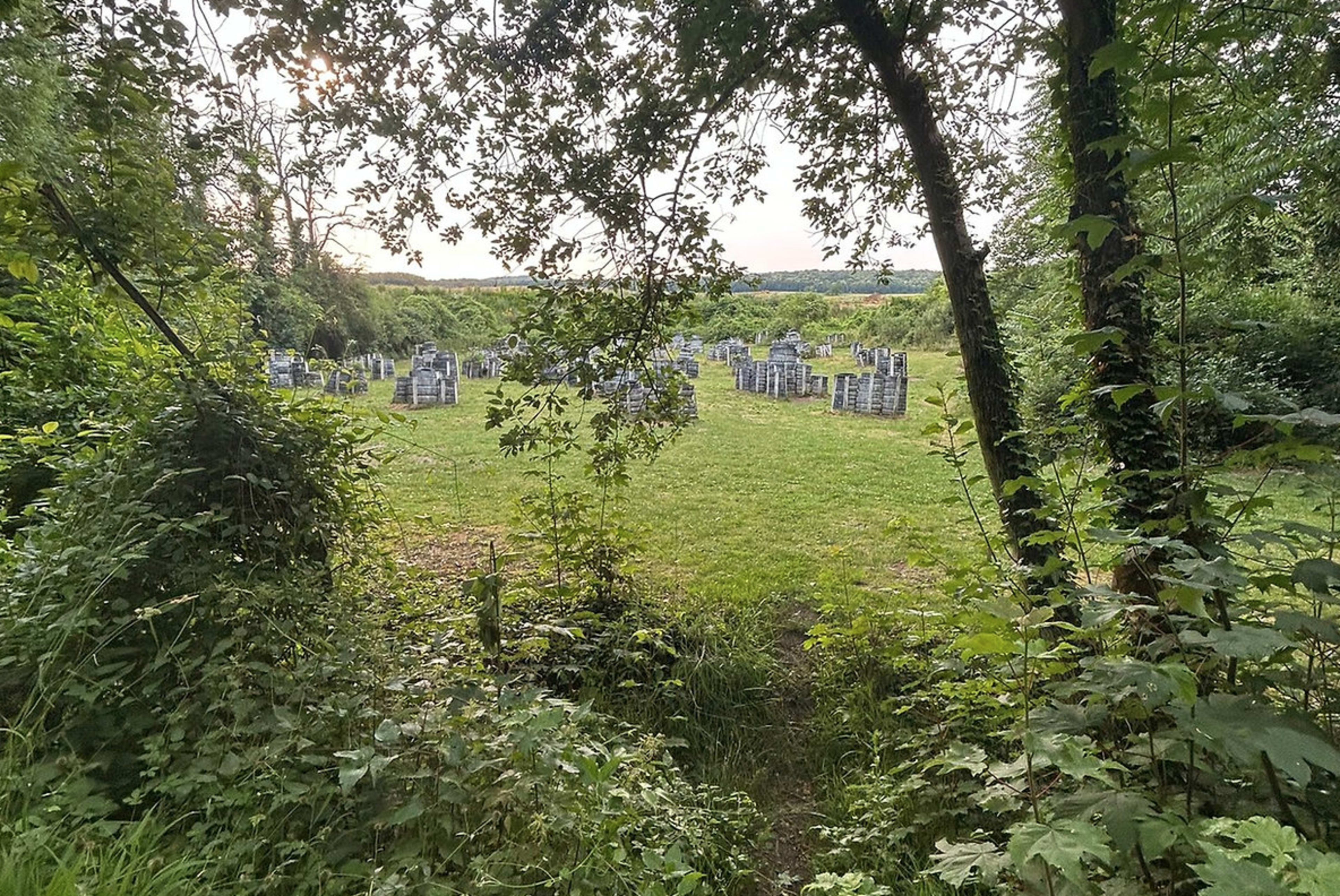 A cleared area in a forested setting features rows of gravestones arranged on a grassy field.