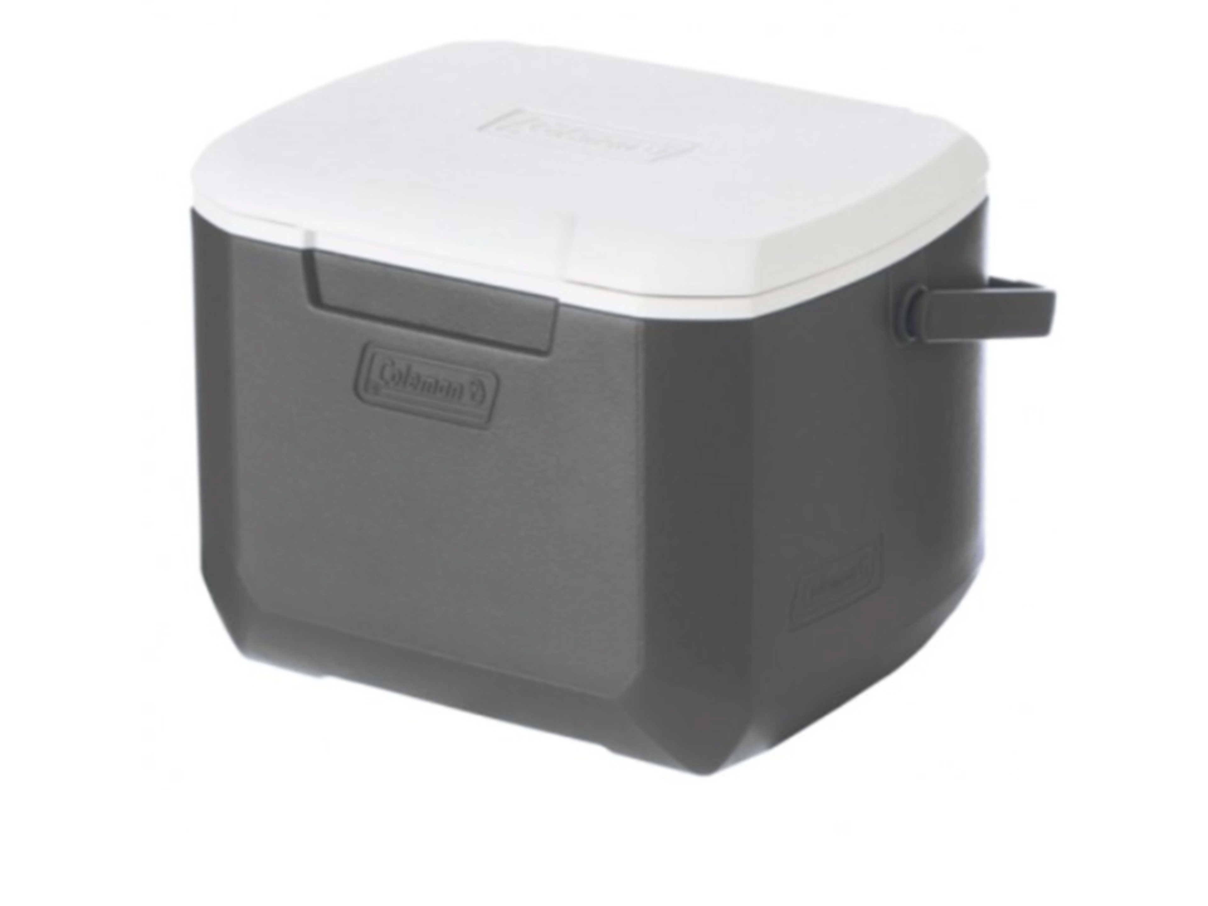 16qt cooler icebox