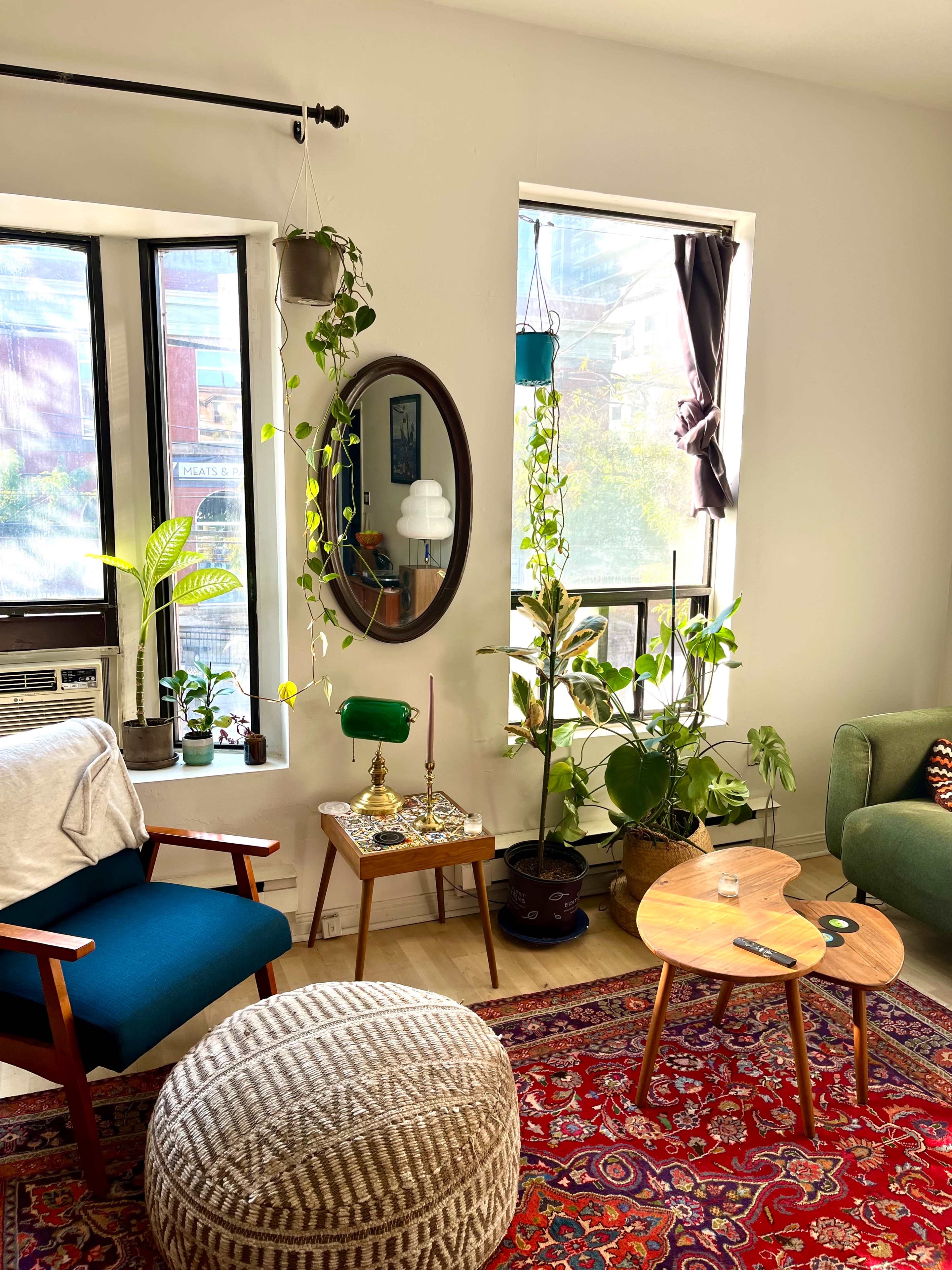 A cozy living room features a chair, a small table with decorative items, potted plants, and a colorful rug.