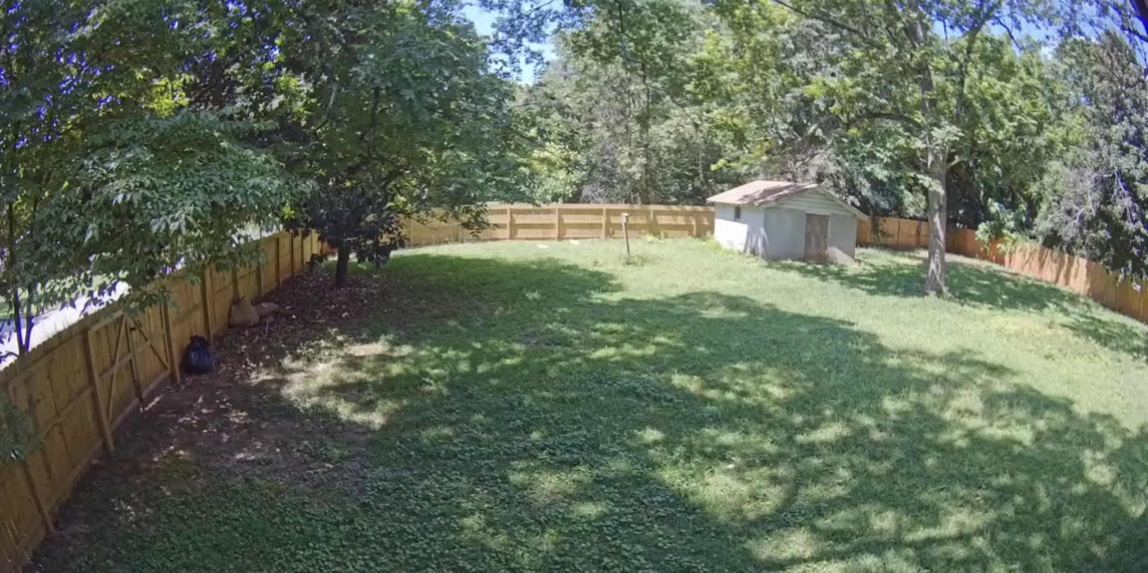 A spacious backyard with a wooden fence, a small shed, and areas of grass and shade from nearby trees.