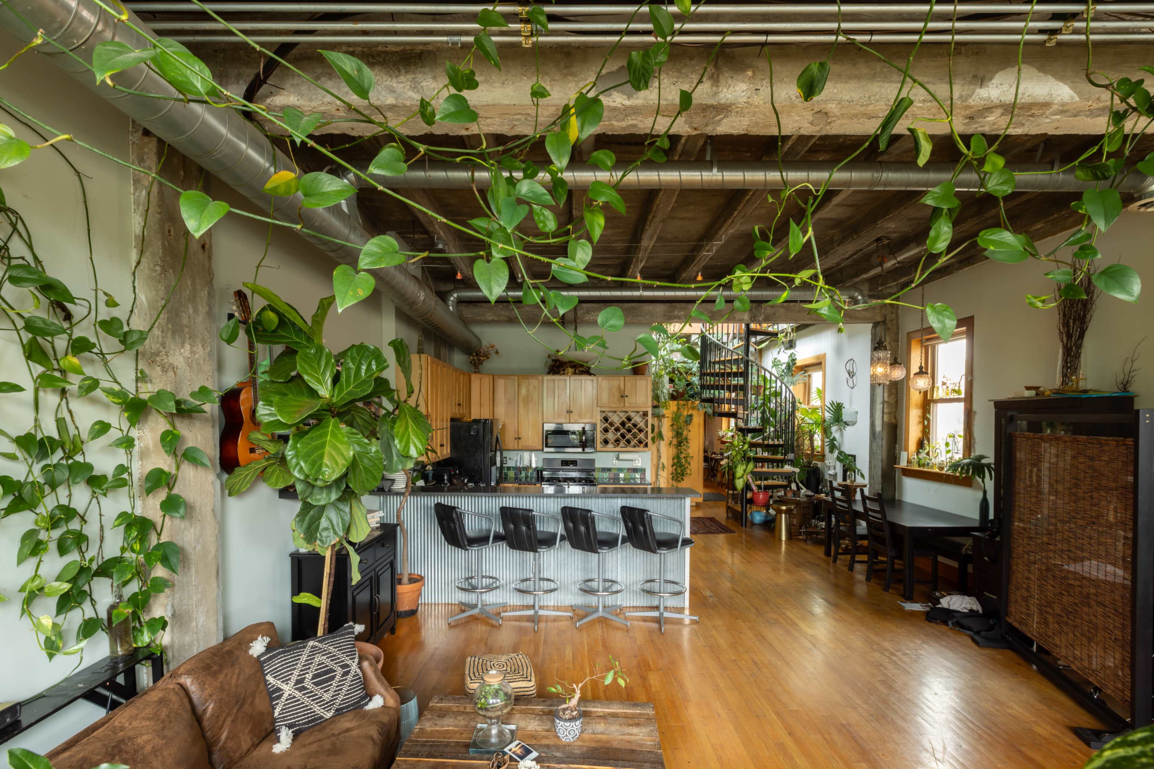 The image shows an open-concept living space featuring a kitchen with bar stools, surrounded by various plants and a staircase leading to an upper level.